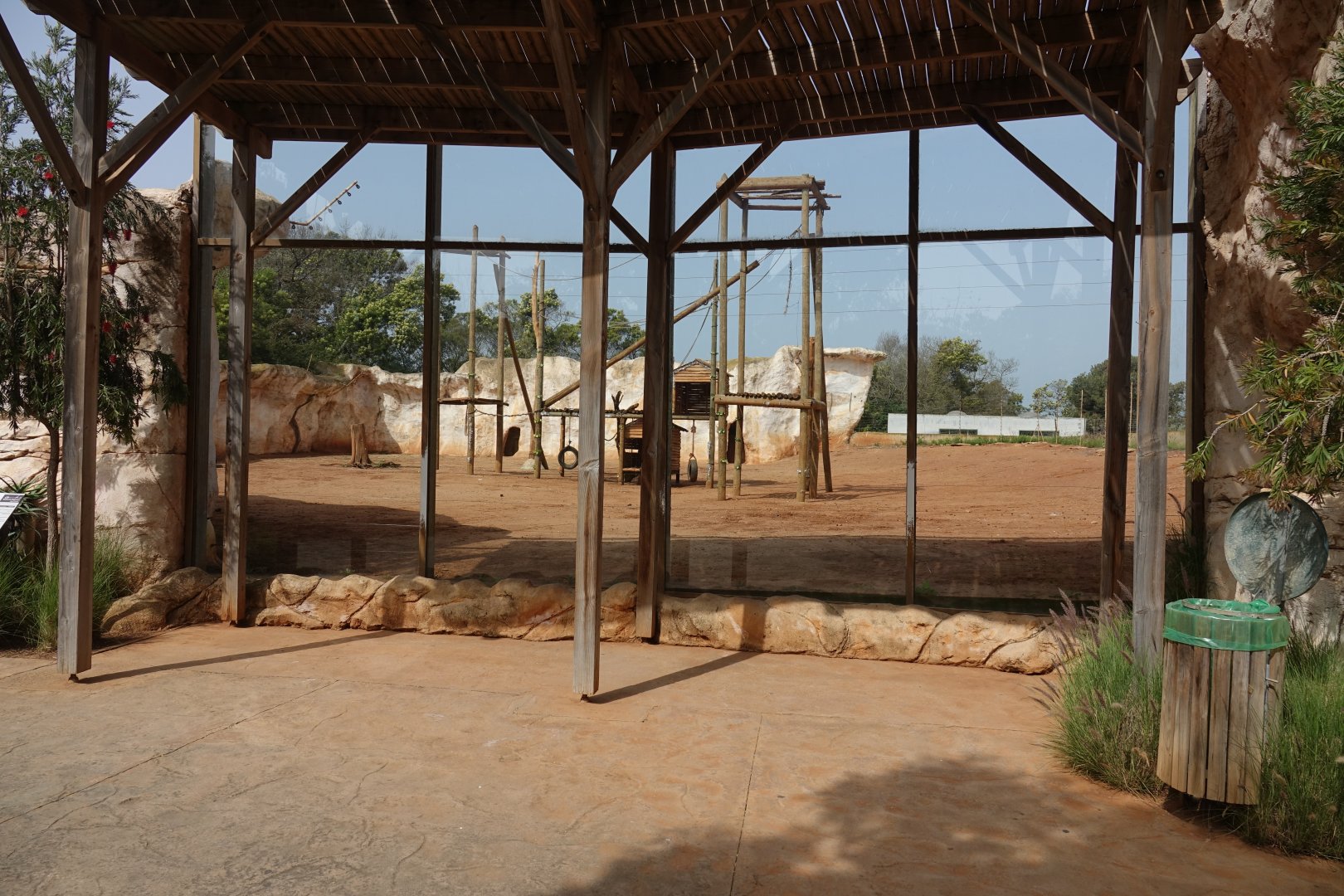 Olive Baboon Enclosure