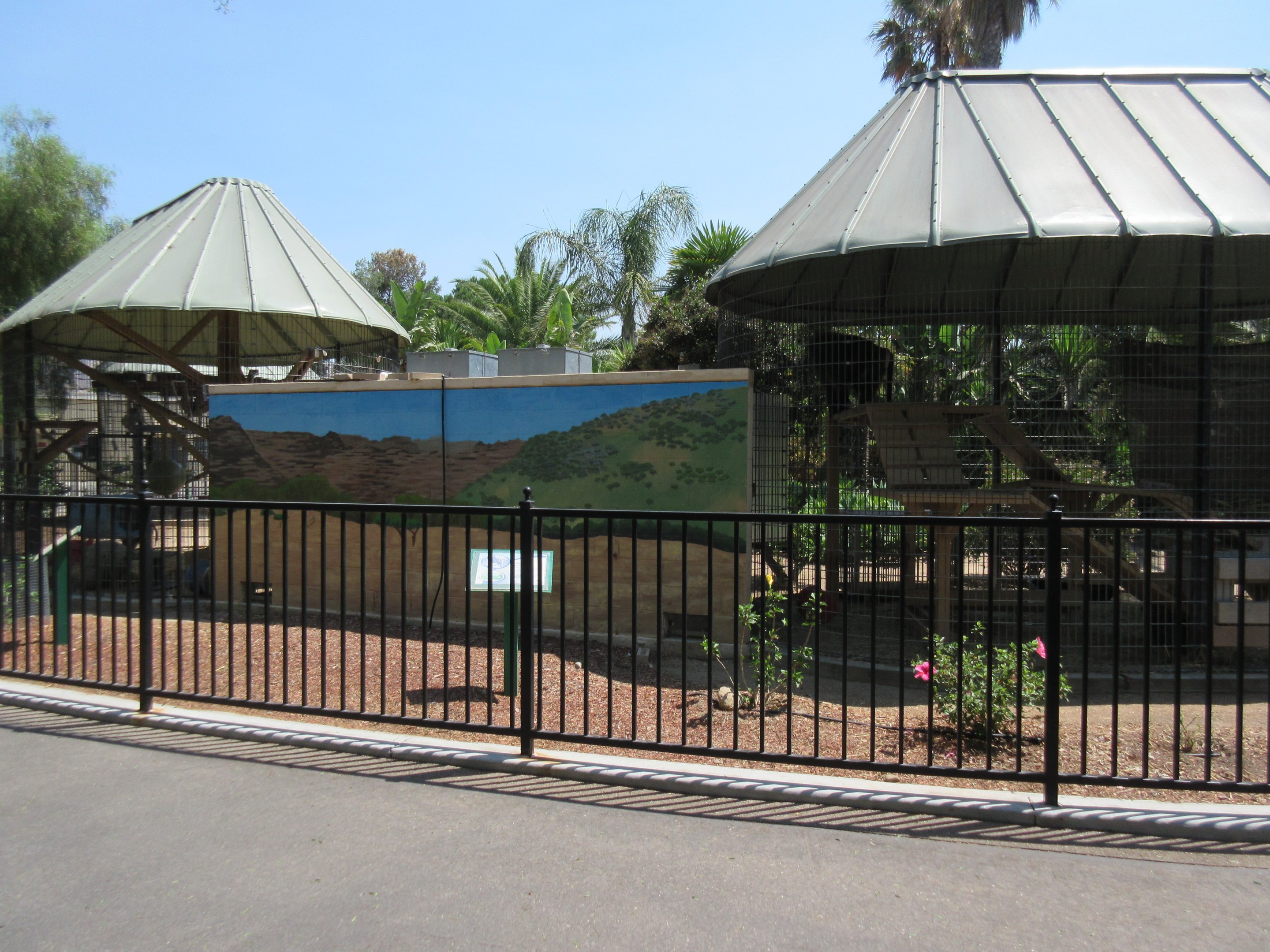 Olive Baboon + Hamadryas Baboon Exhibits