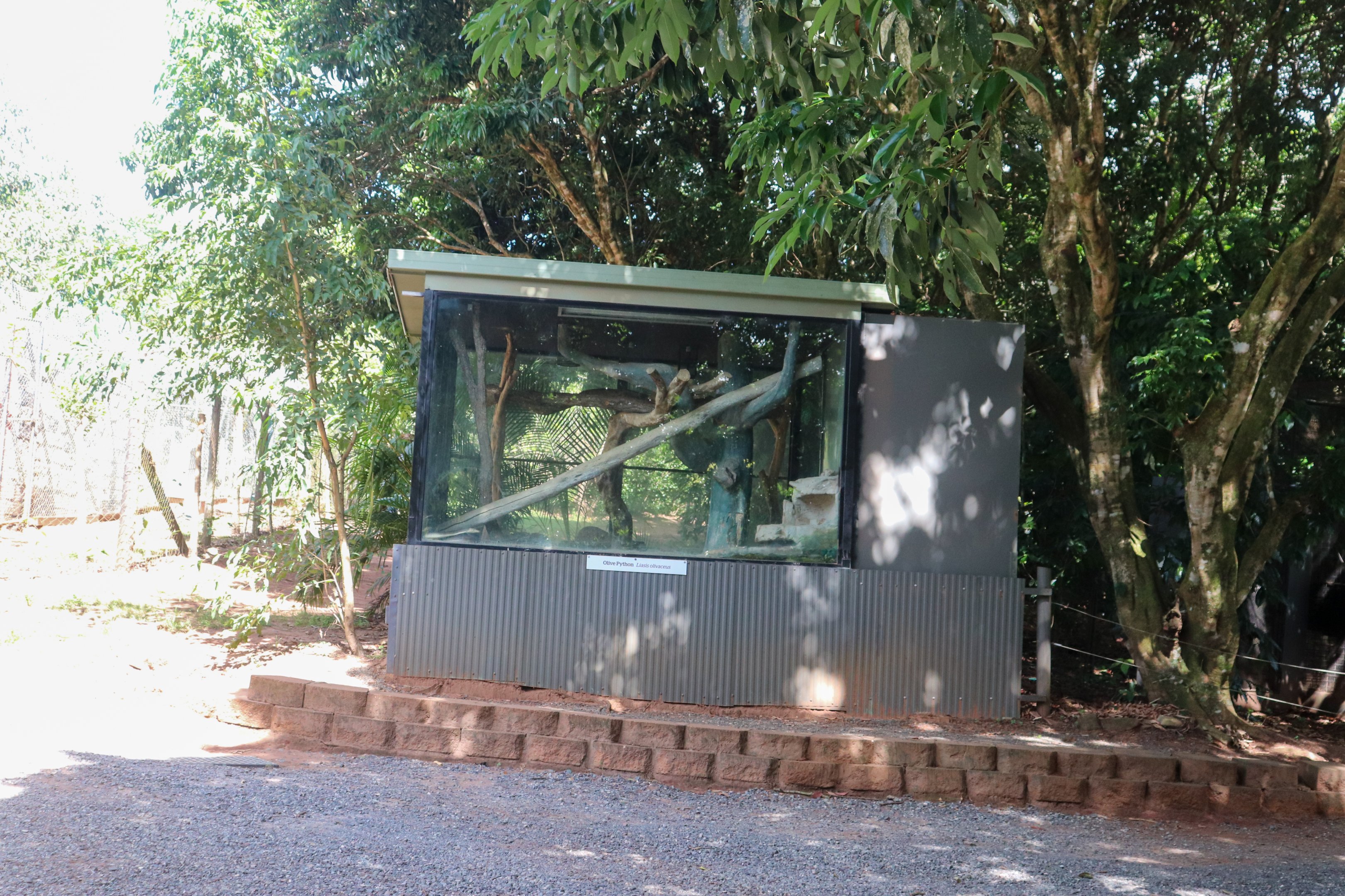 Olive Python Enclosure