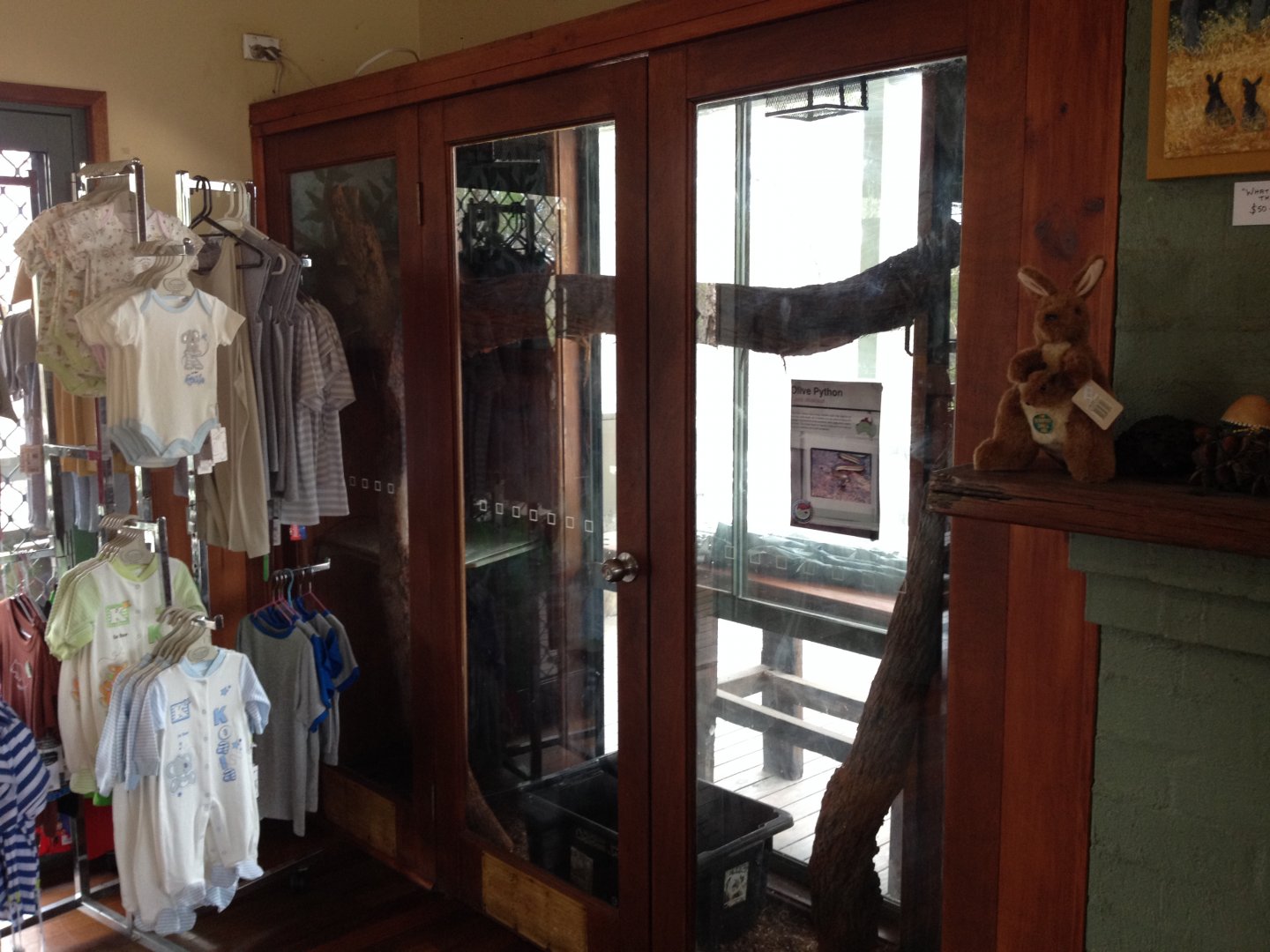 Olive Python exhibit