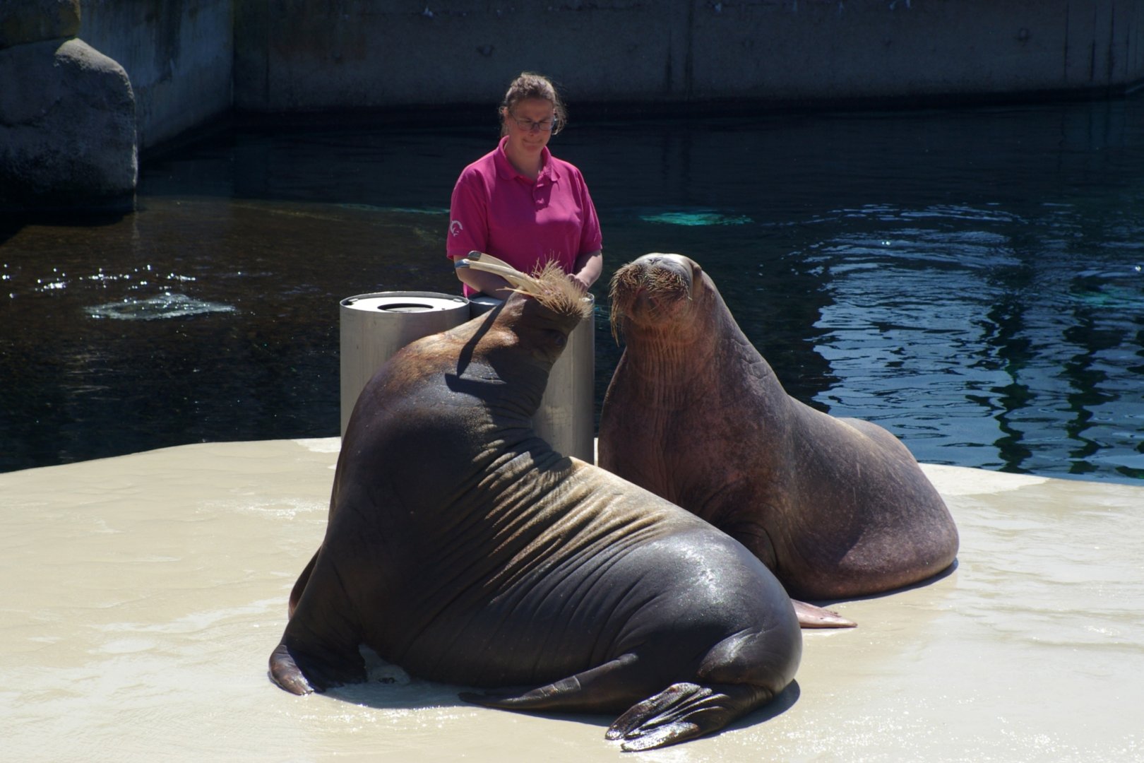 Olivia - refusing the show...