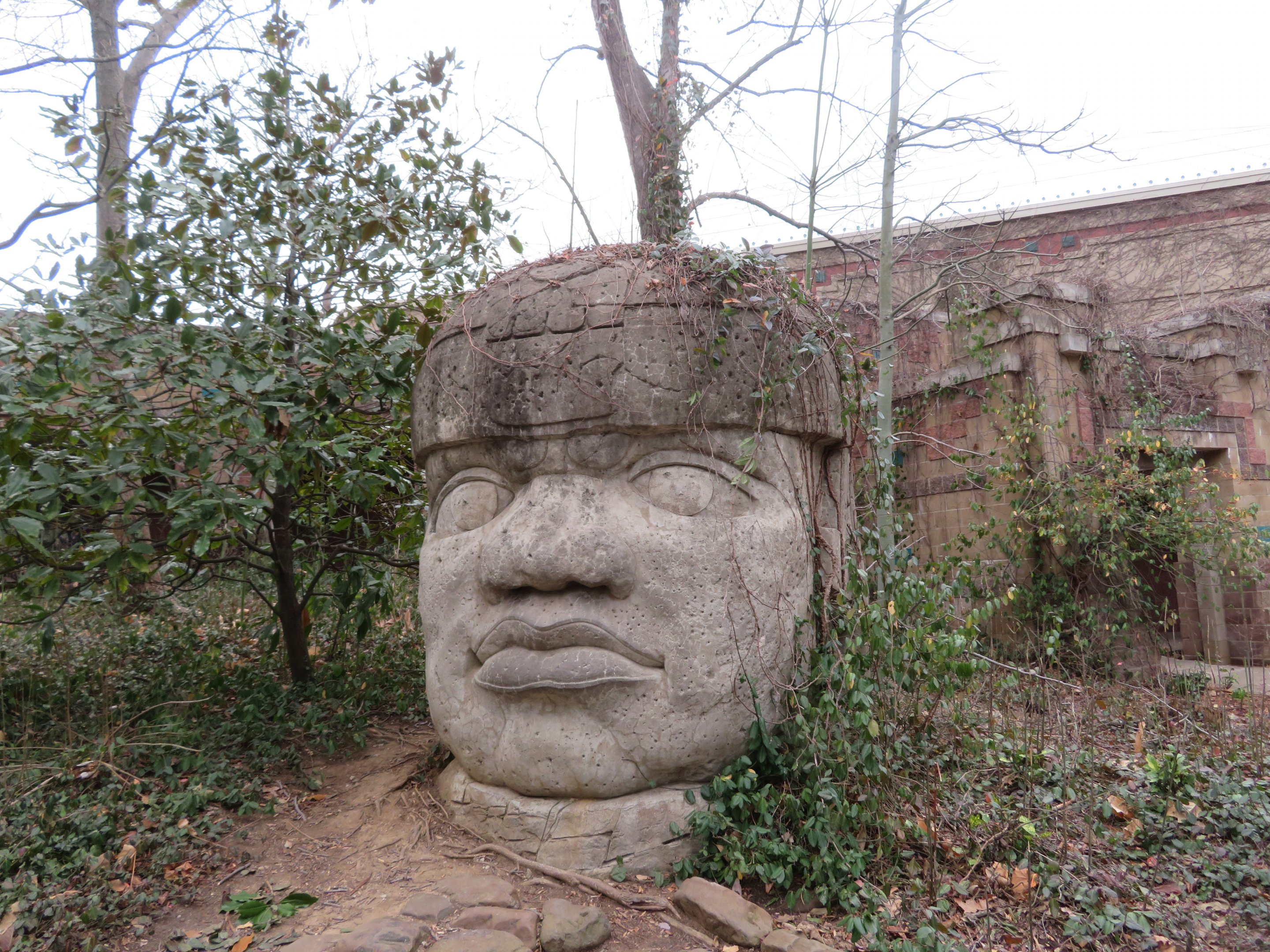 Olmec Head Statue