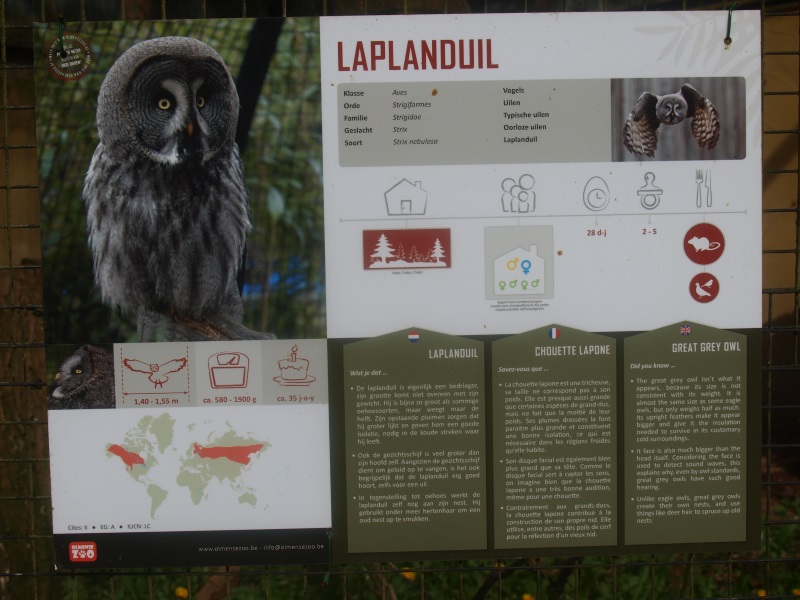 Olmense Zoo animal sign, new style (April 19th, 2015)