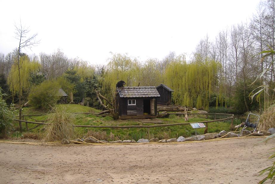 Olmense Zoo Binturong