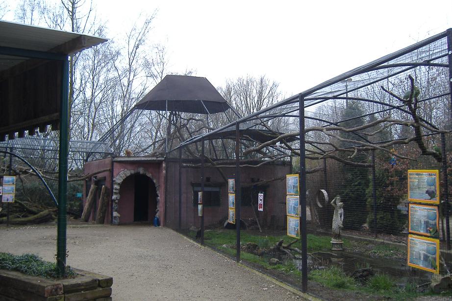 Olmense Zoo gibbons parrots