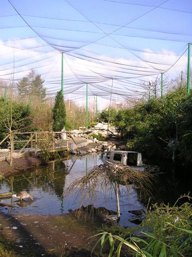 Olmense zoo Olmen/Balen (BE) Aviary