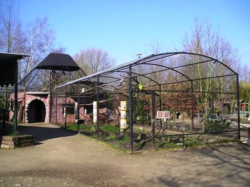 Olmense zoo Olmen/Balen (BE) Birds & gibbons