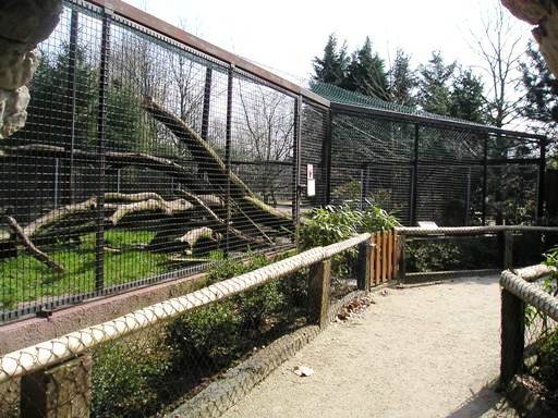 Olmense zoo Olmen/Balen (BE) Casa panthera