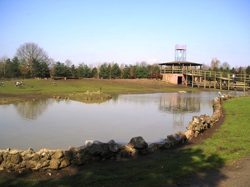 Olmense zoo Olmen/Balen (BE) Savanna