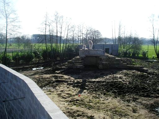 Olmense zoo Olmen/Balen (BE) Tiger