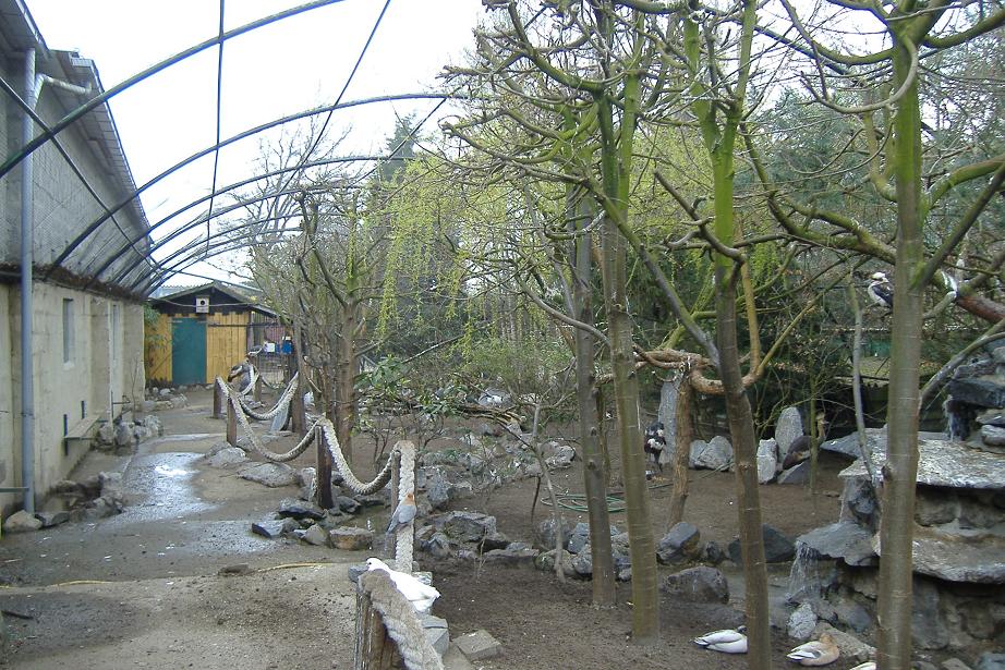 Olmense Zoo walk through aviary