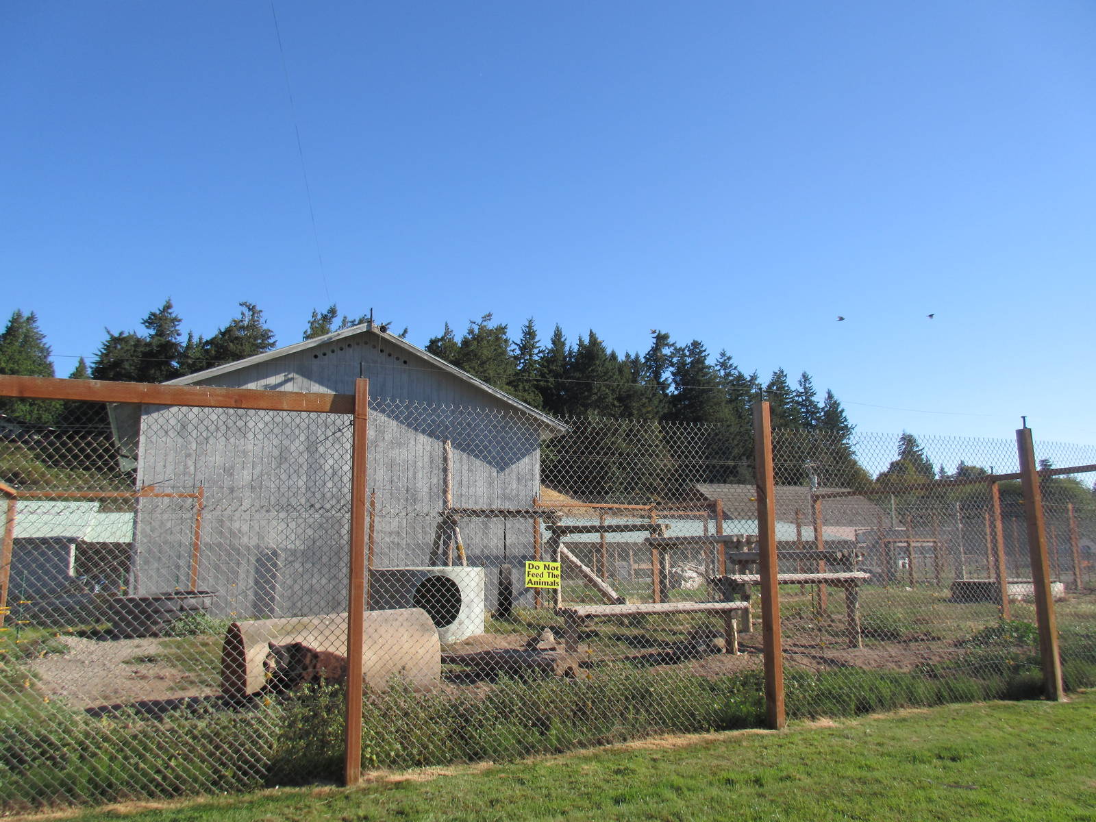 Olympic Game Farm - American Black Bear/Grey Wolf Exhibit