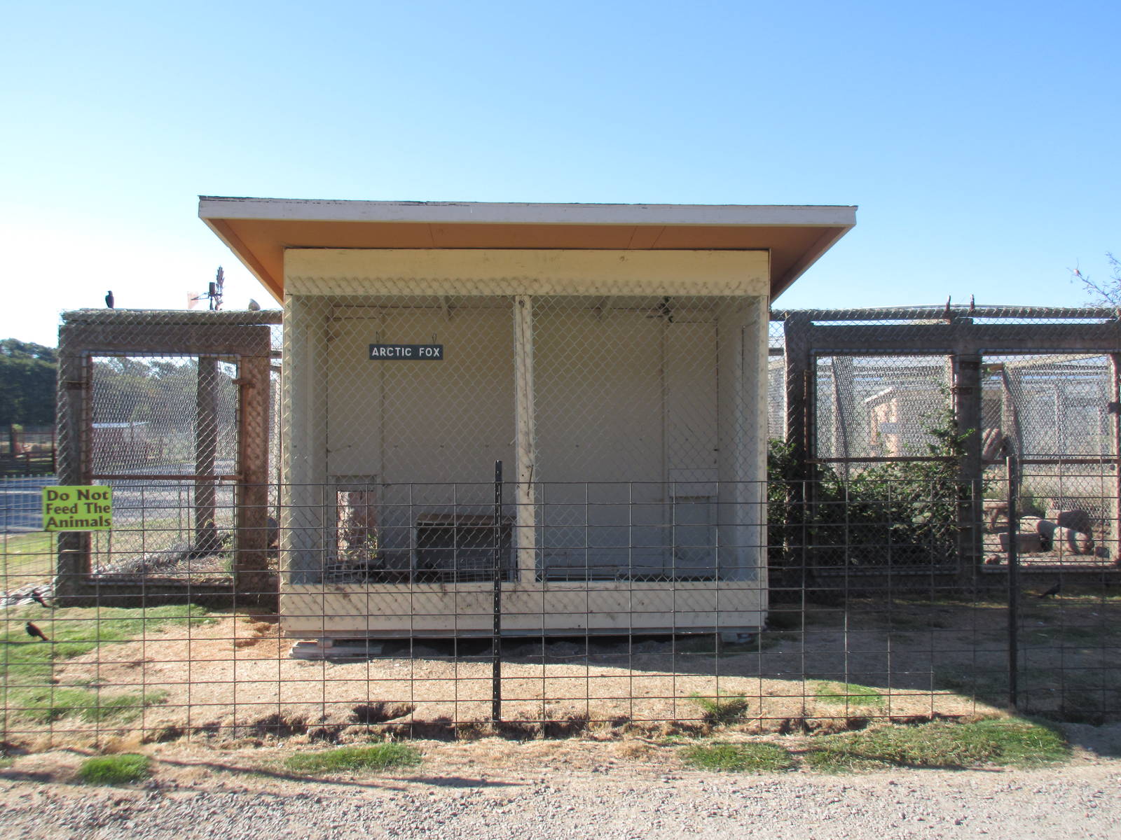 Olympic Game Farm - Arctic Fox Exhibit (rear-view with shelter structure)