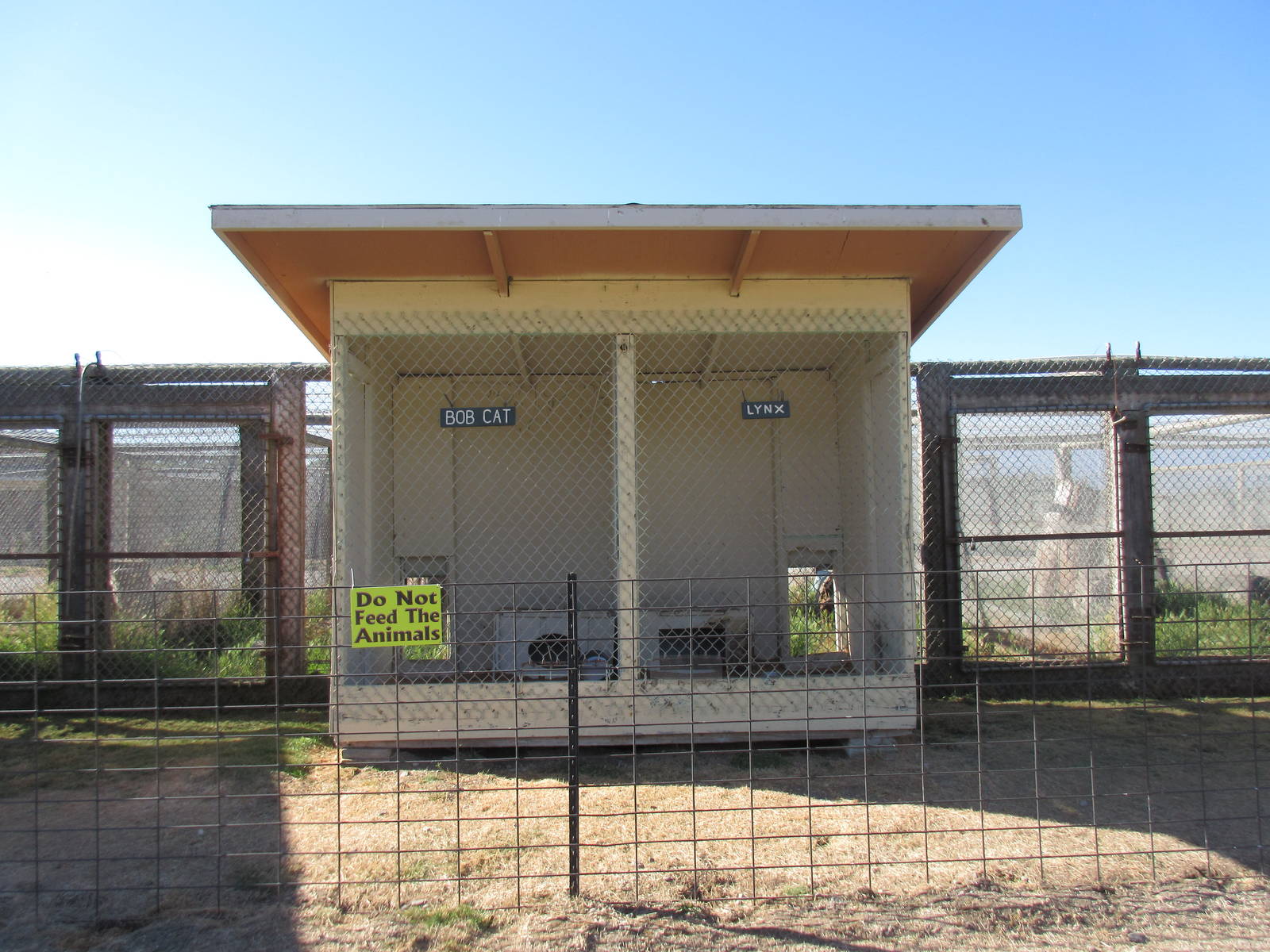 Olympic Game Farm - Bobcat + Canada Lynx Exhibits (rear-views with shelter