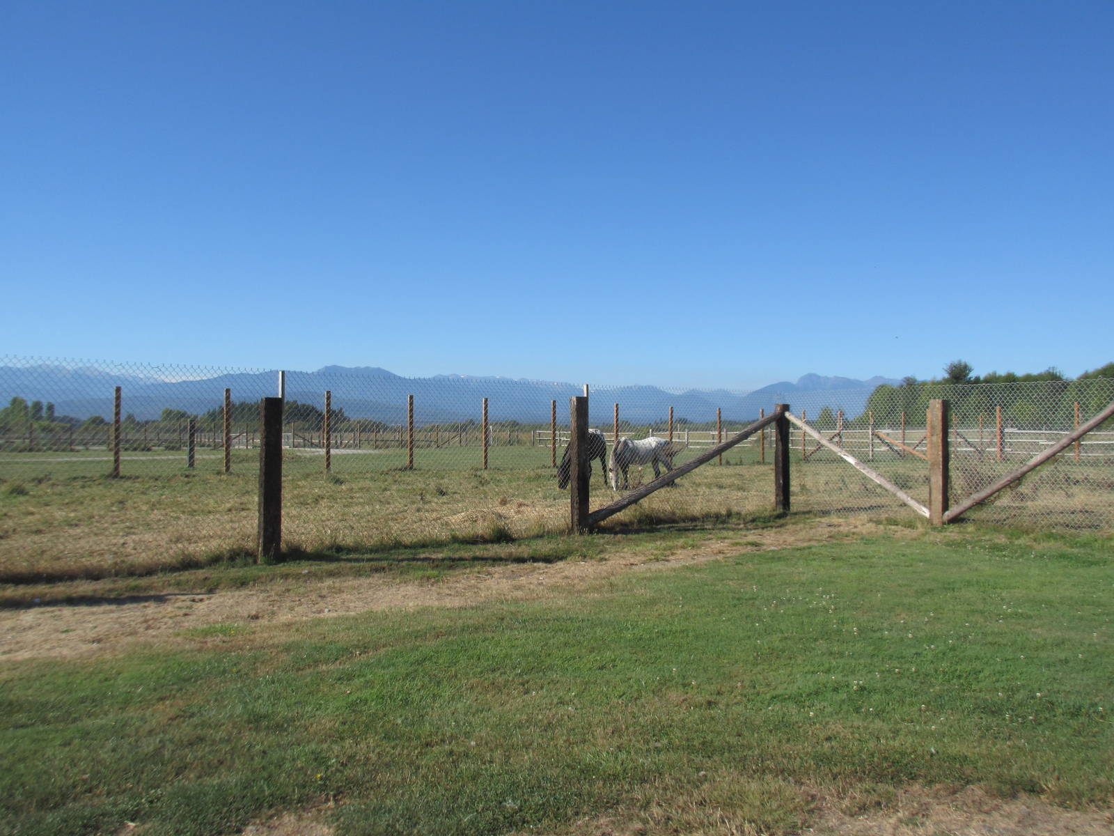 Olympic Game Farm - Domestic Horse Exhibit
