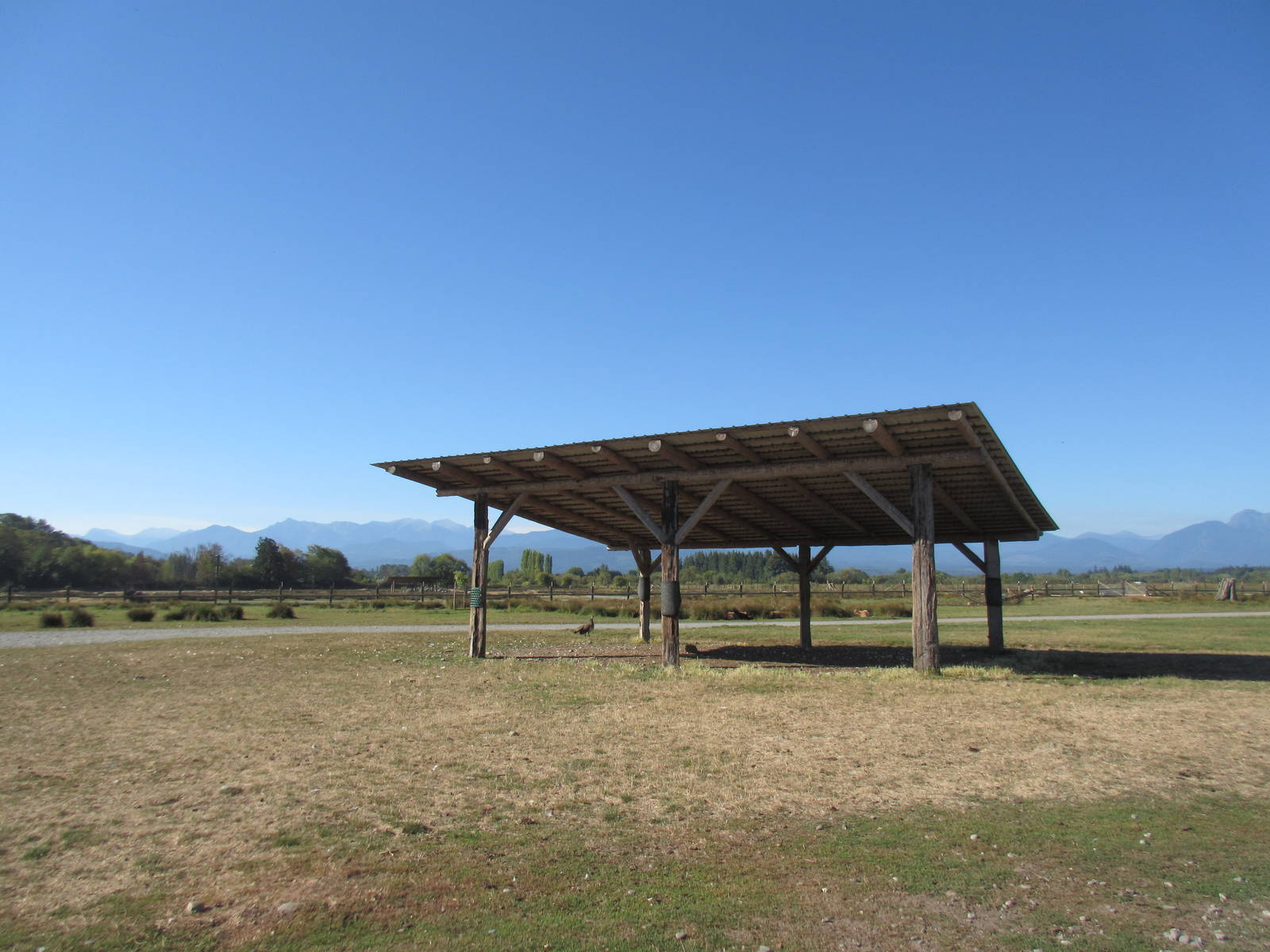 Olympic Game Farm - Fallow Deer/Elk Exhibit