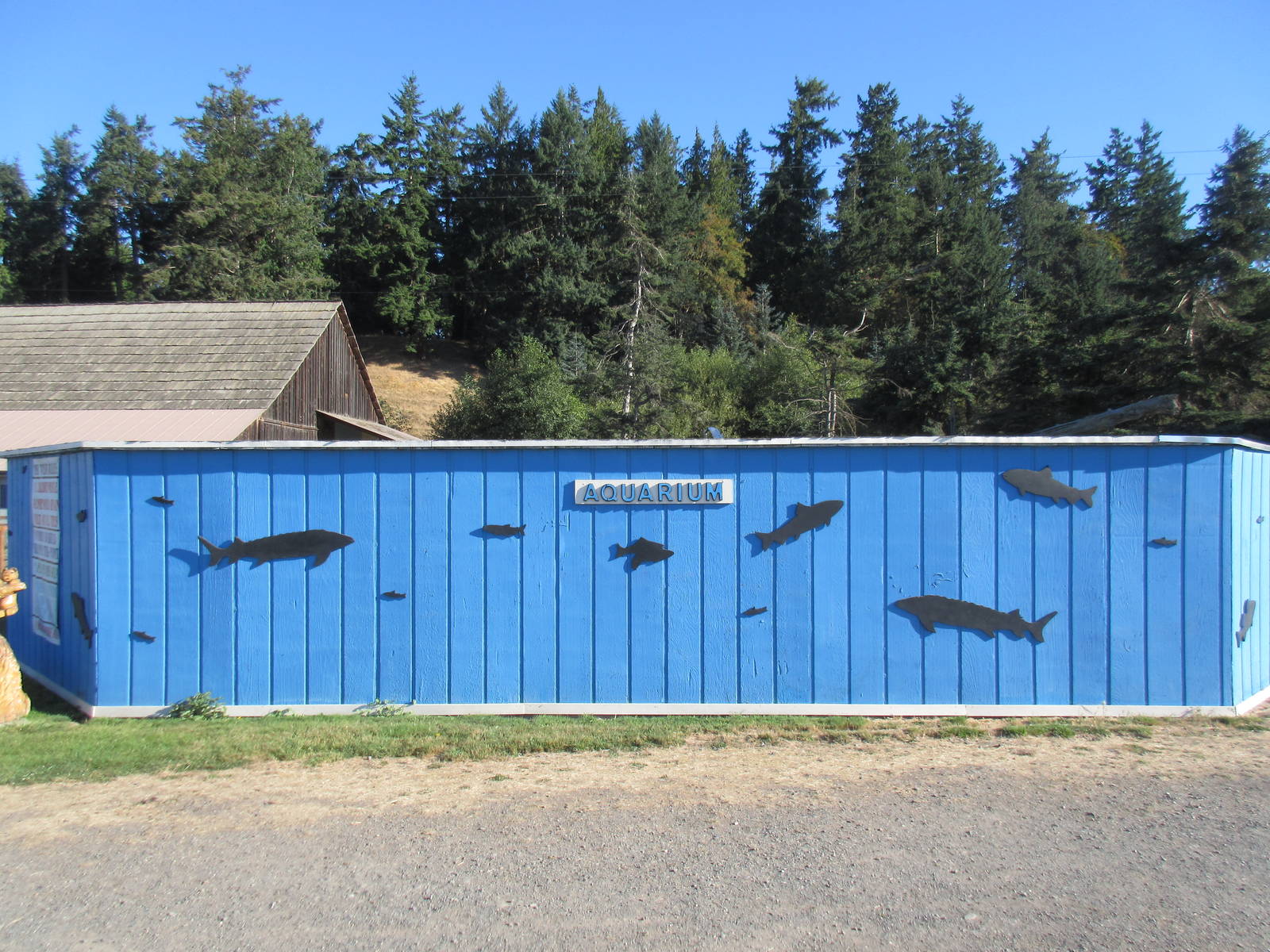 Olympic Game Farm - Freshwater Aquarium