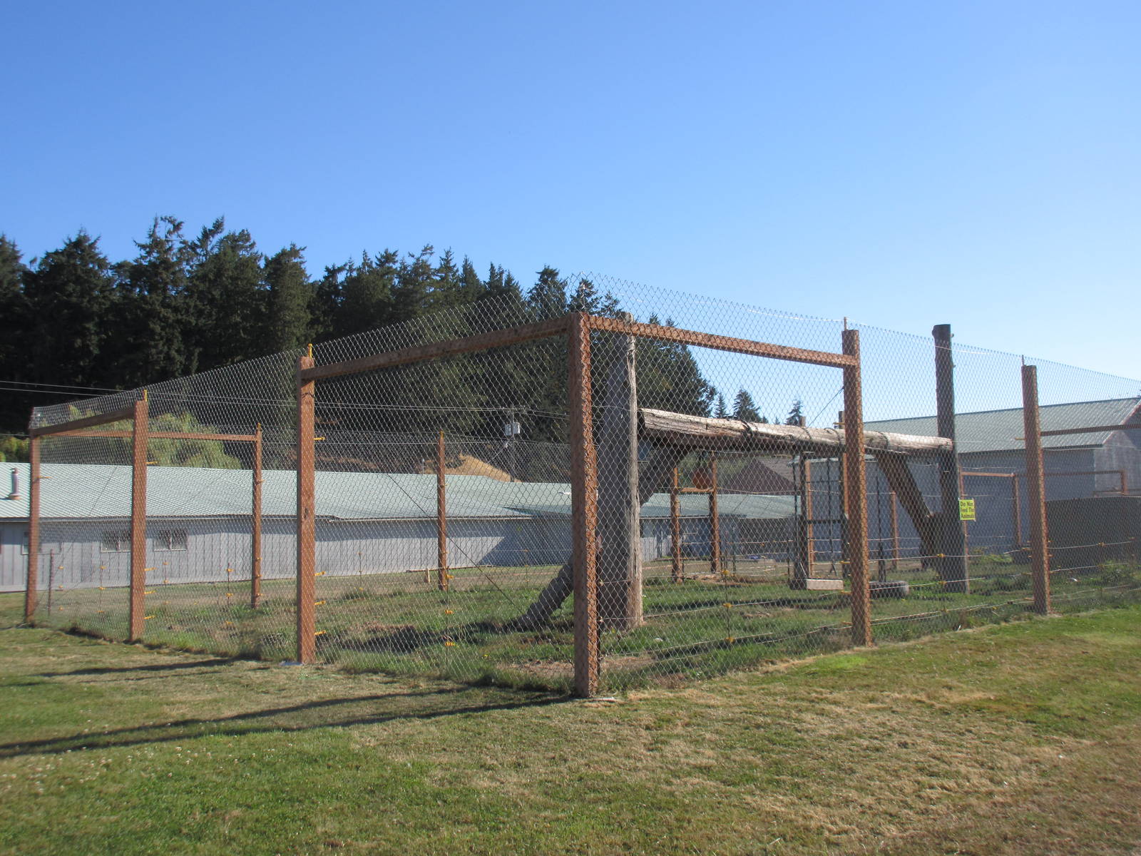Olympic Game Farm - Future Tiger Exhibit