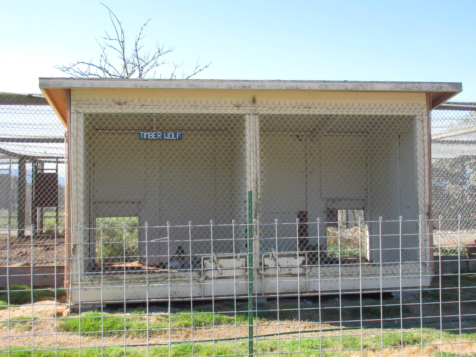 Olympic Game Farm - Grey Wolf Exhibit (one of many for wolves)