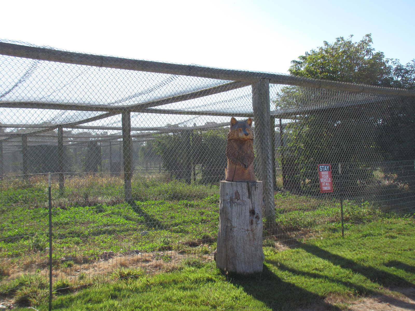 Olympic Game Farm - Grey Wolf Exhibit (one of many for wolves)