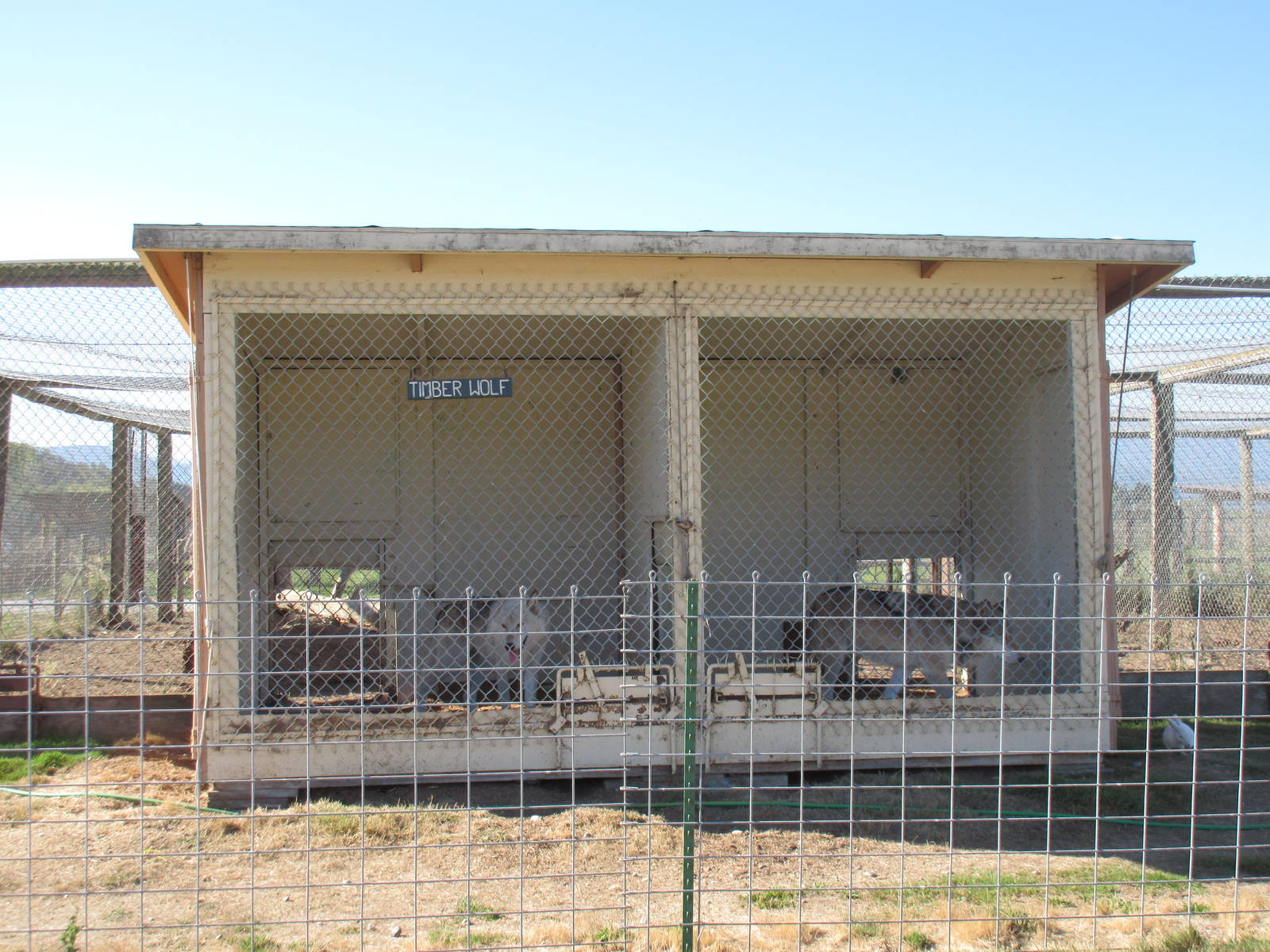 Olympic Game Farm - Grey Wolf Exhibit (rear-view with shelter structure)