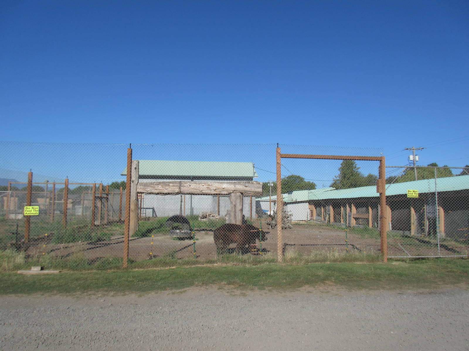 Olympic Game Farm - Grizzly Bear Exhibit #1