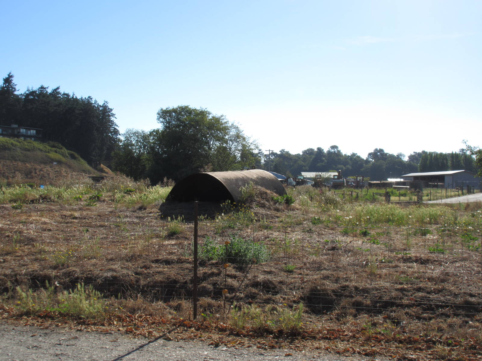 Olympic Game Farm - Grizzly Bear Exhibit #3 (minimal fencing)