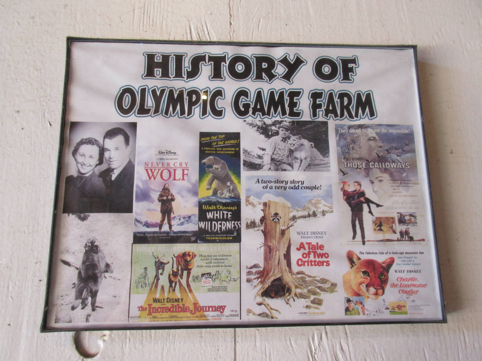Olympic Game Farm - History Sign (movie posters)