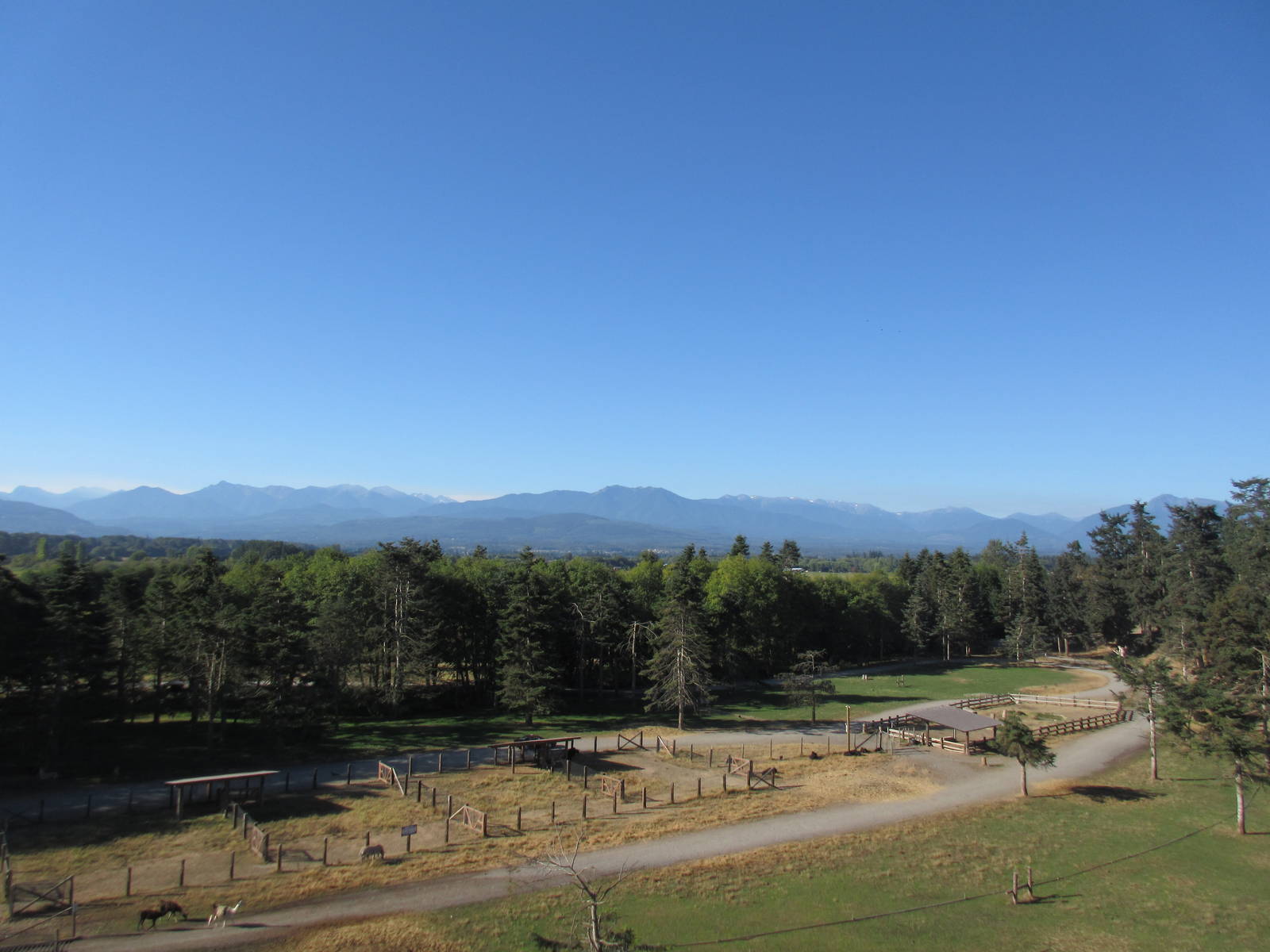 Olympic Game Farm - Hoofstock Field Overview