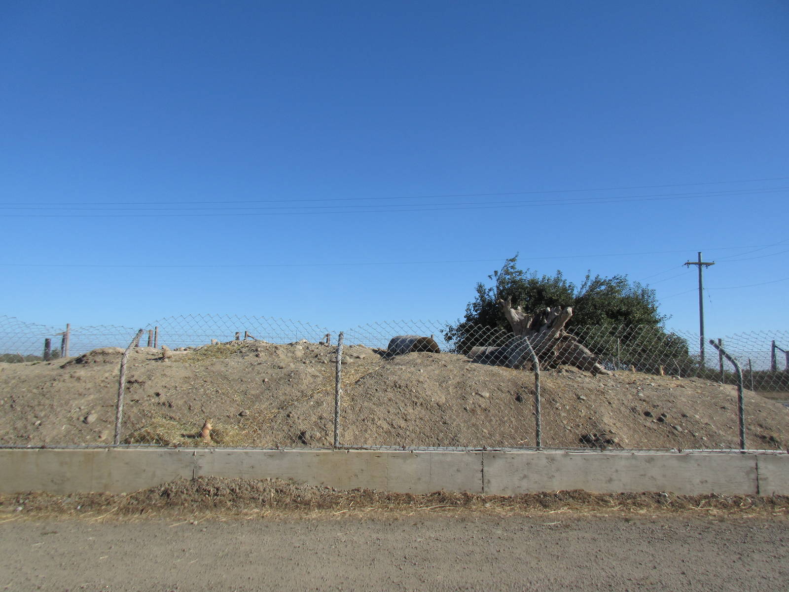 Olympic Game Farm - Prairie Dog Exhibit (right-side)
