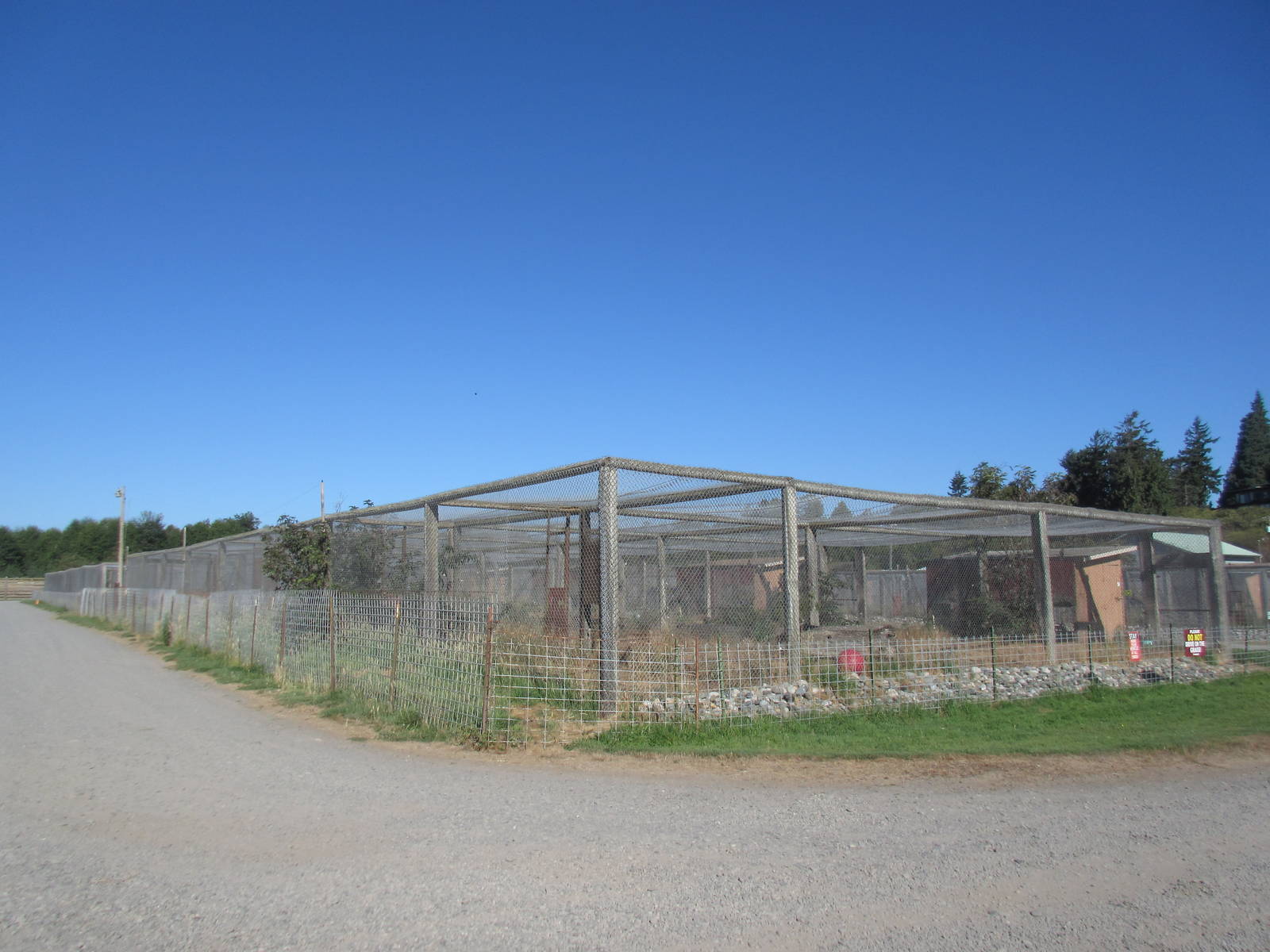 Olympic Game Farm - Predator Row