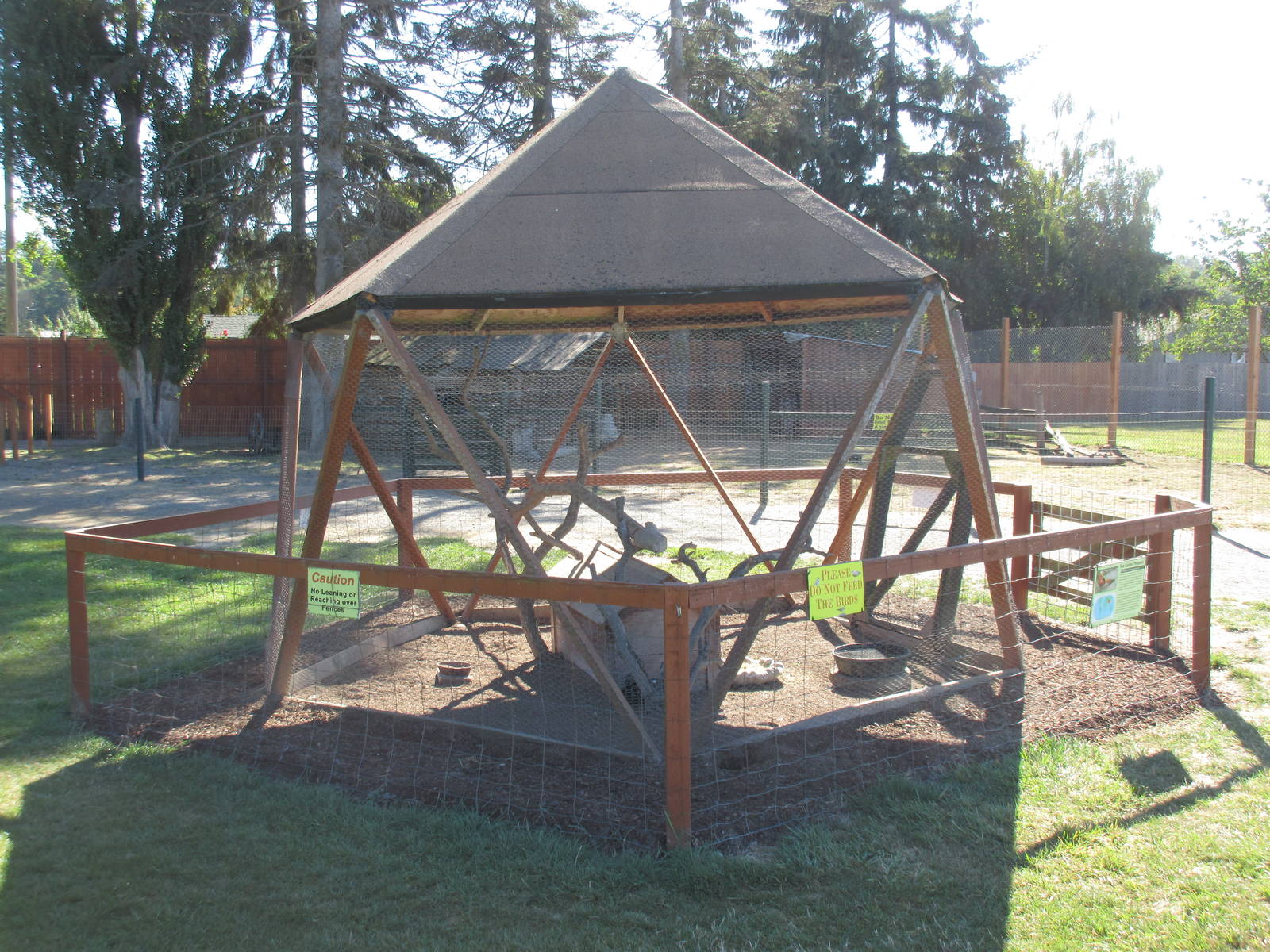 Olympic Game Farm - Red Golden Pheasant Exhibit
