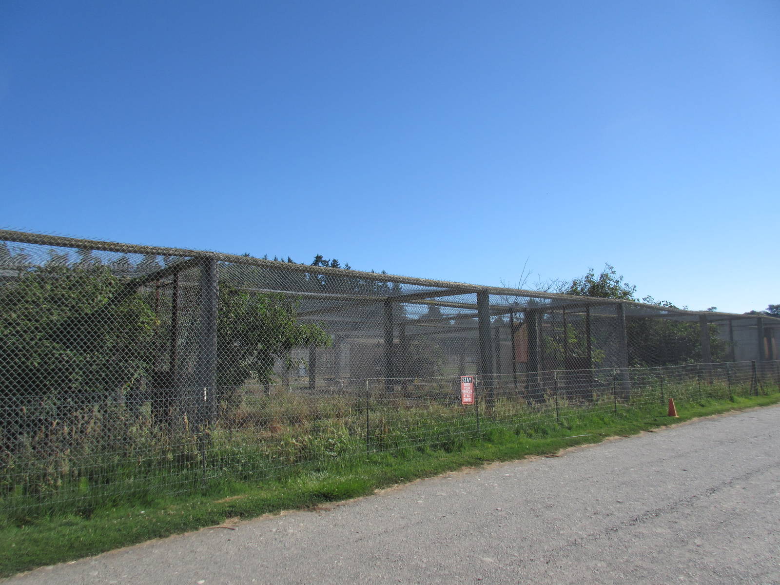 Olympic Game Farm - Row of Grey Wolf Exhibits