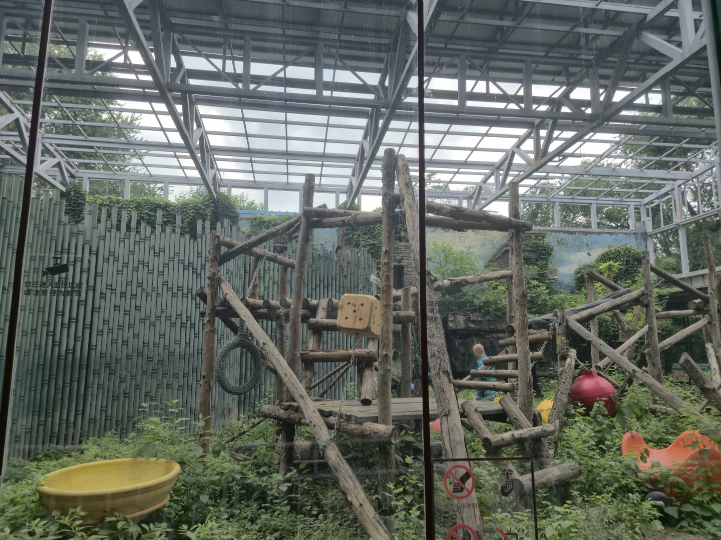 Olympic Games Panda House