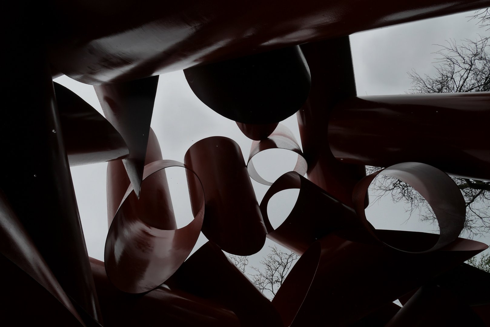 Olympic Iliad - My First US Zoo Trip