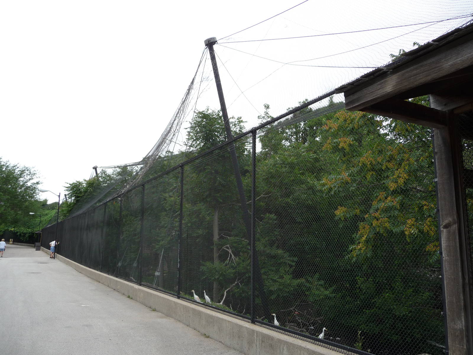Omaha's Henry Doorly Zoo - 4-acre Aviary