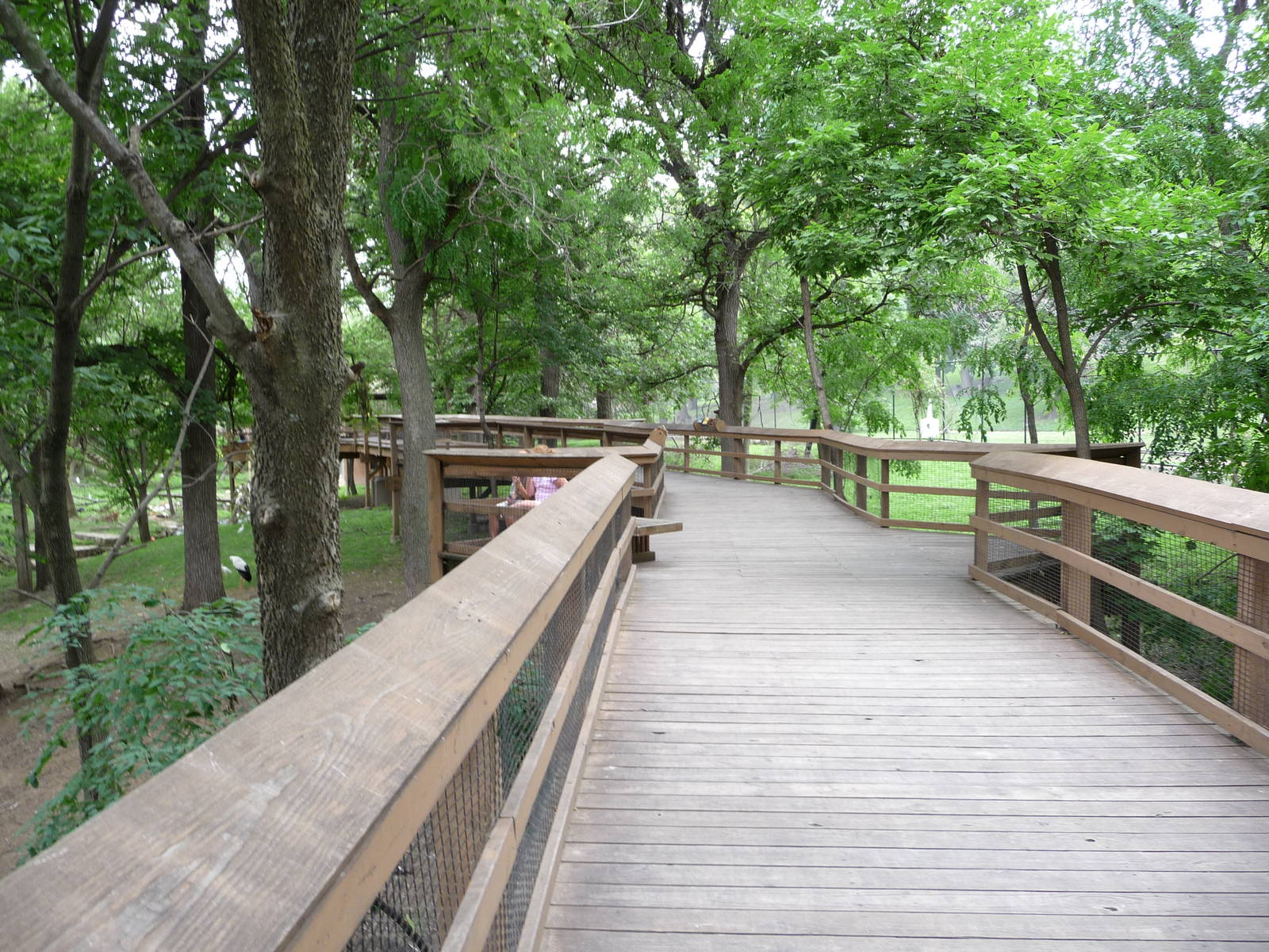 Omaha's Henry Doorly Zoo - 4-acre Aviary