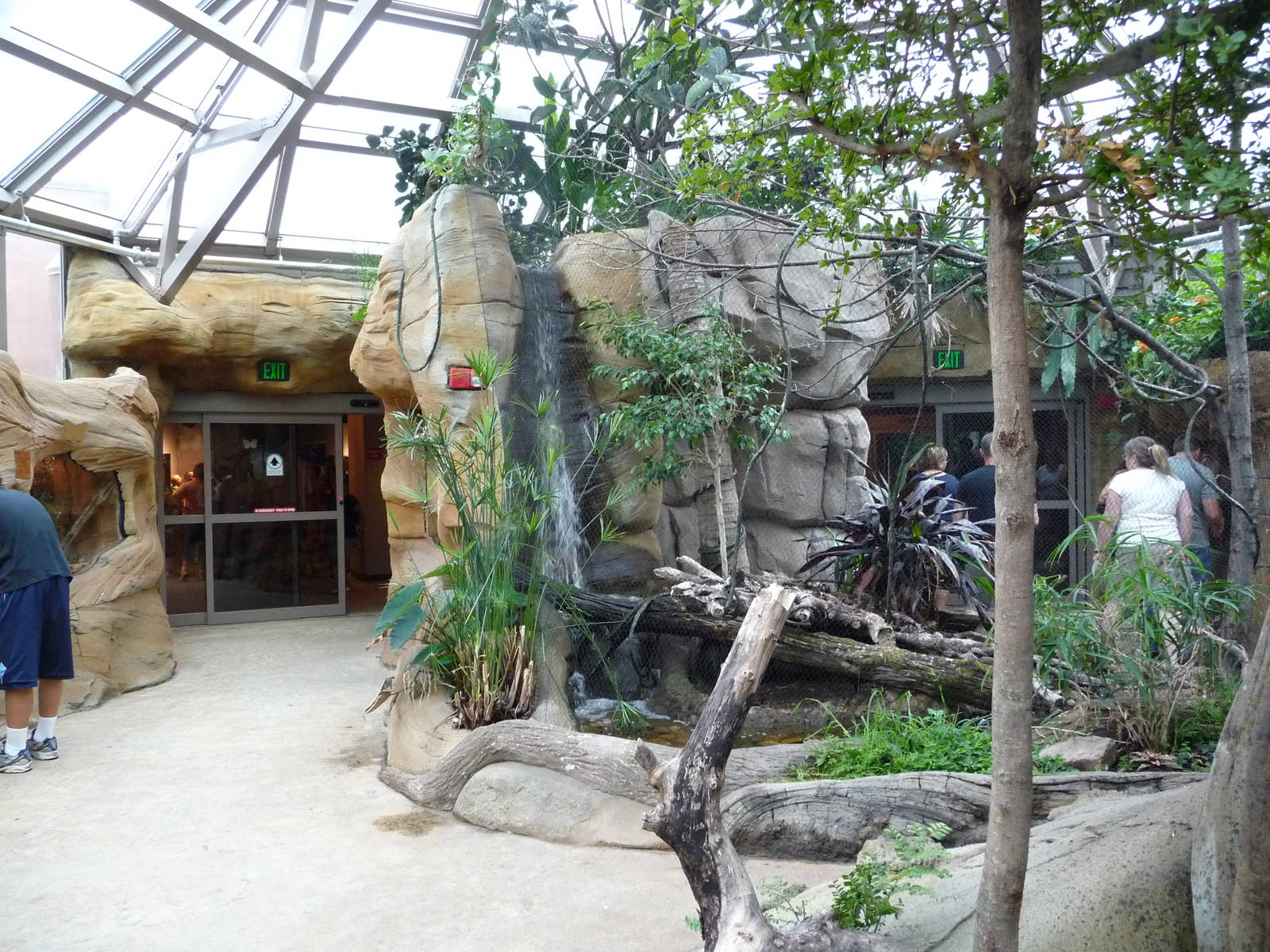 Omaha's Henry Doorly Zoo - Butterfly & Insect Pavilion