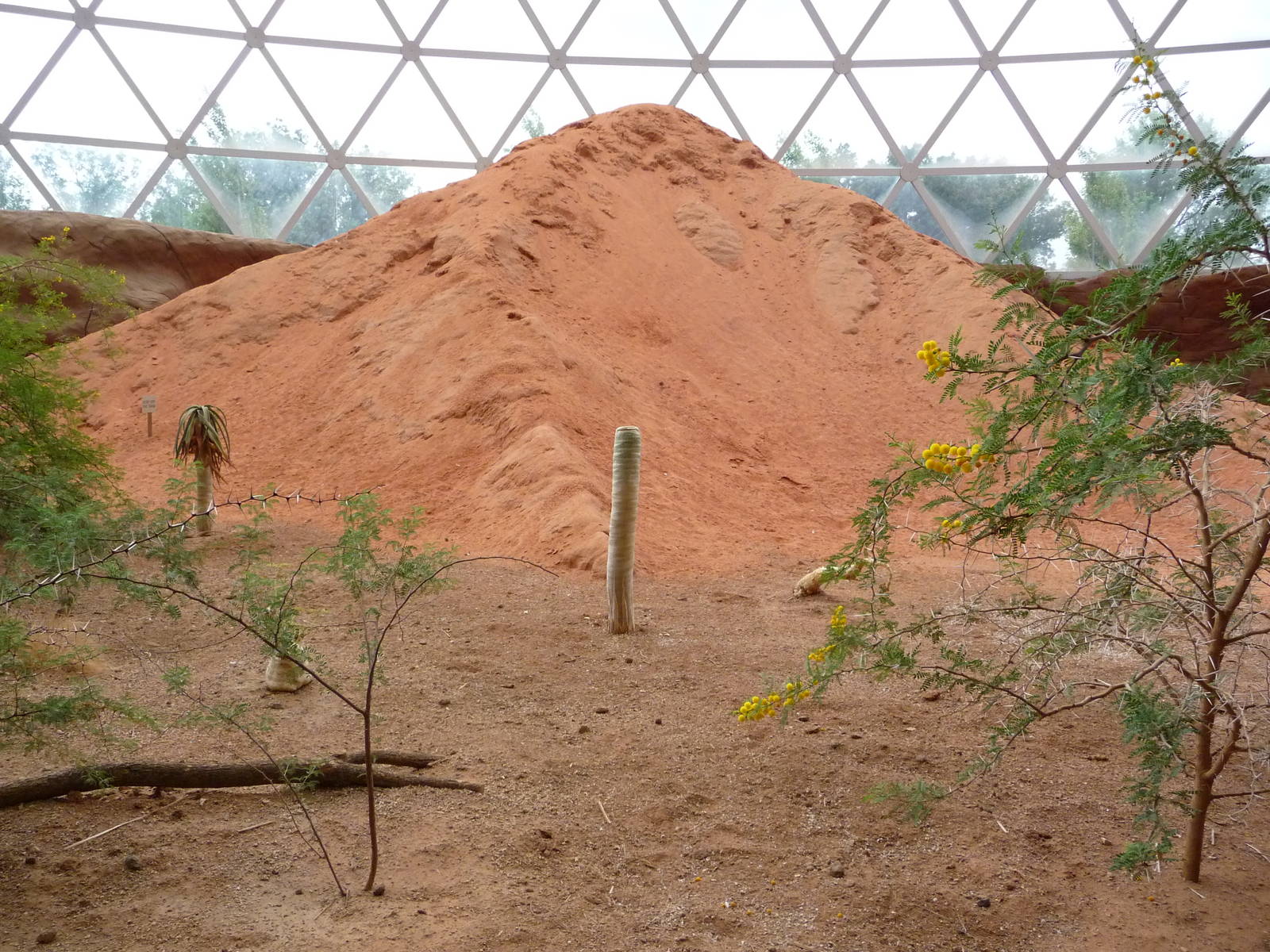 Omaha's Henry Doorly Zoo - Desert Dome