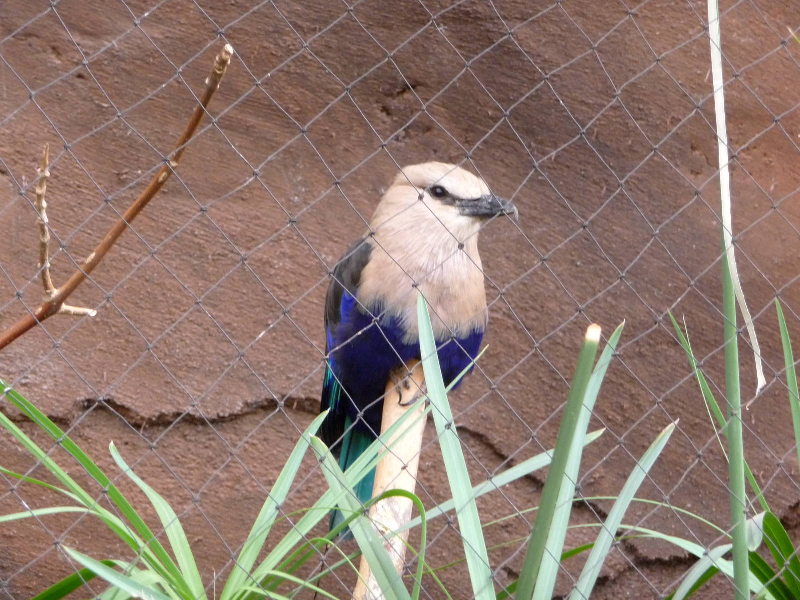 Omaha's Henry Doorly Zoo - Desert Dome