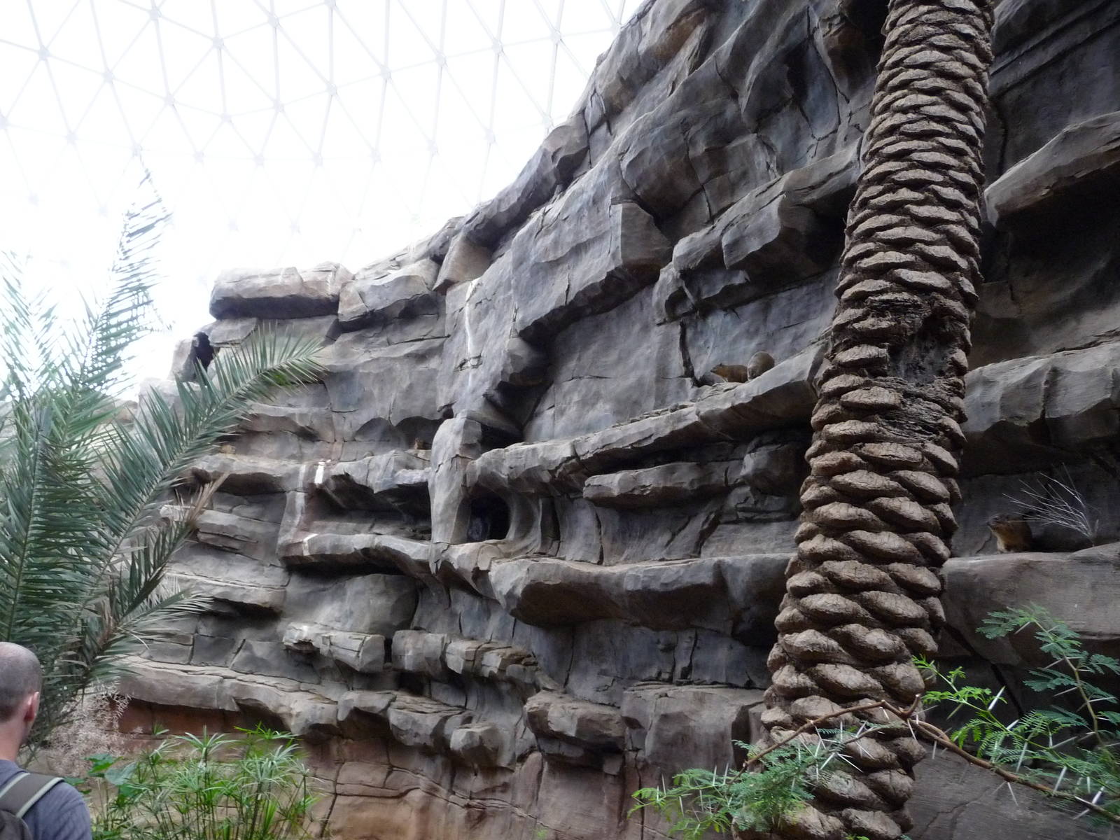 Omaha's Henry Doorly Zoo - Desert Dome