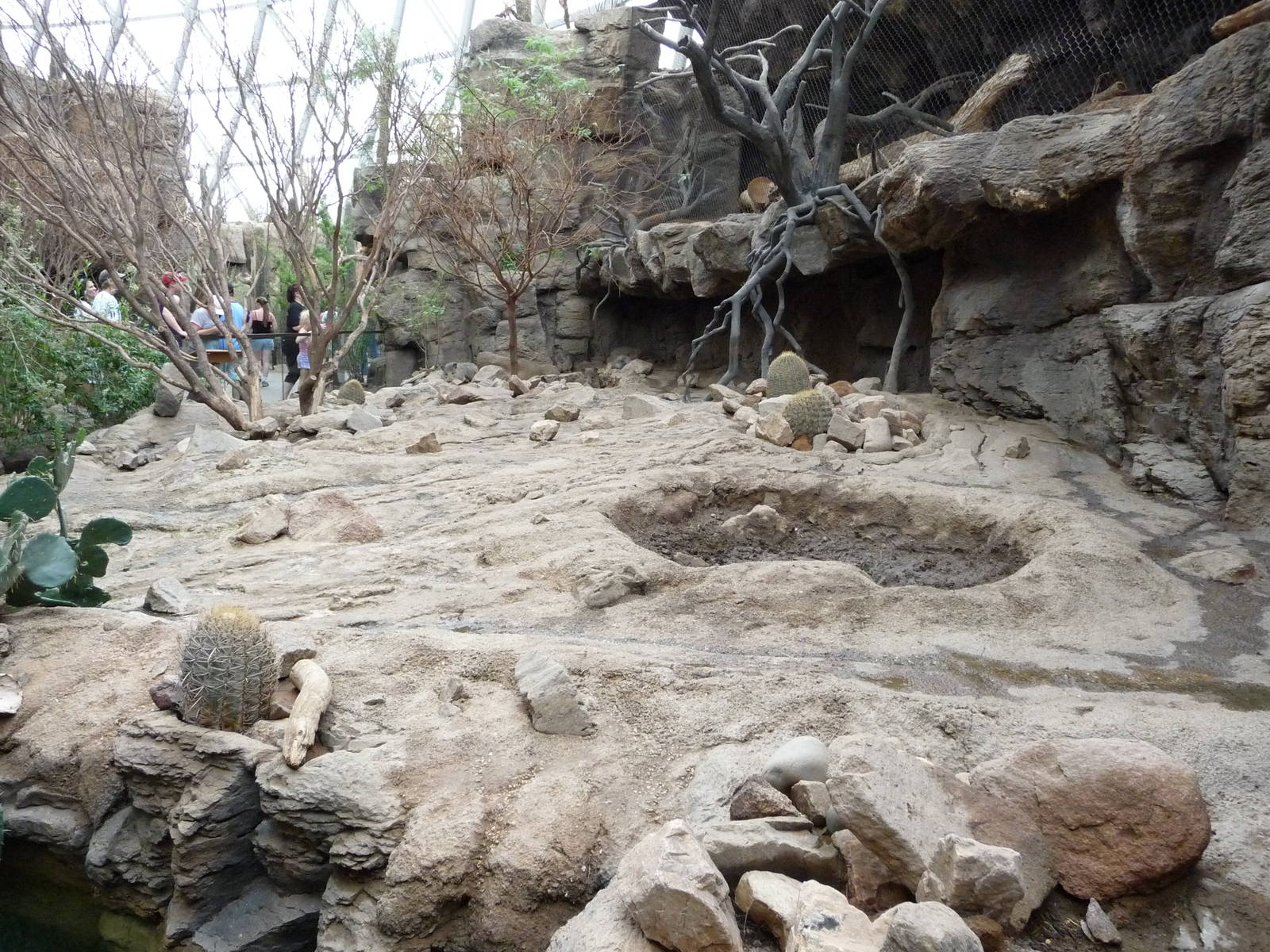 Omaha's Henry Doorly Zoo - Desert Dome