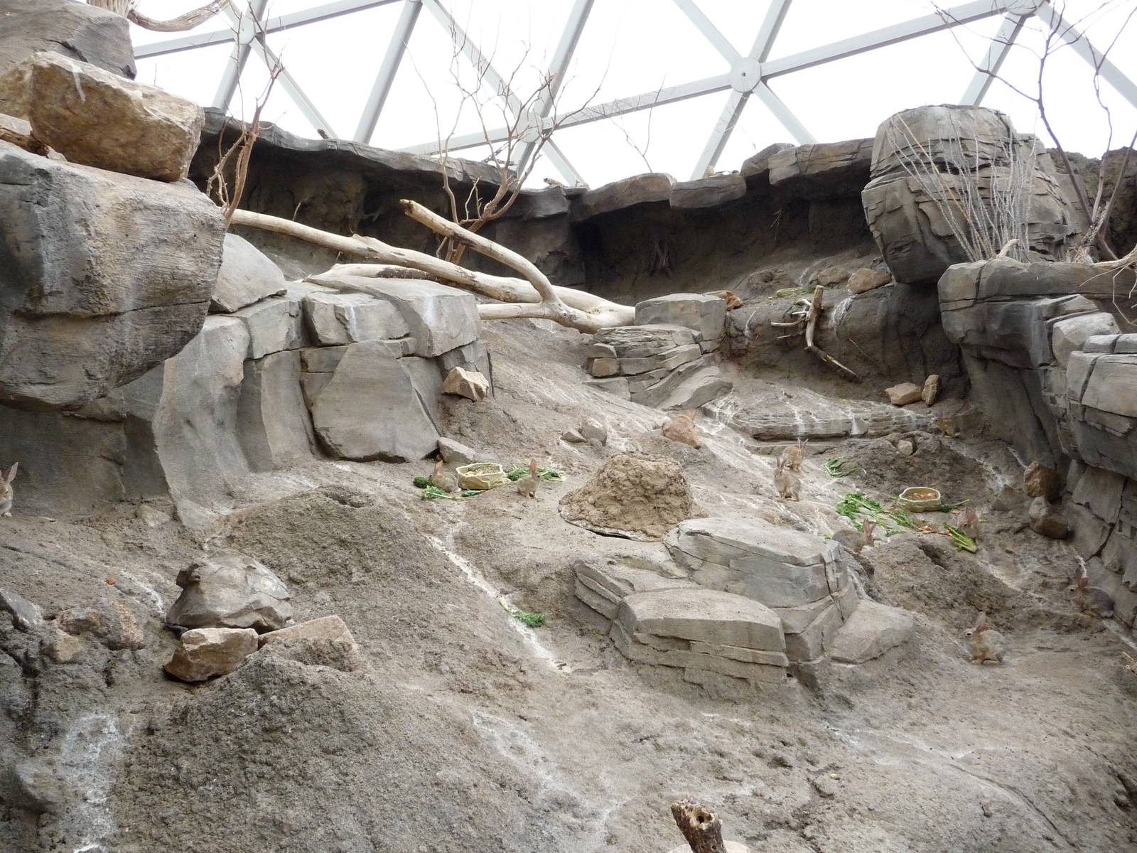 Omaha's Henry Doorly Zoo - Desert Dome
