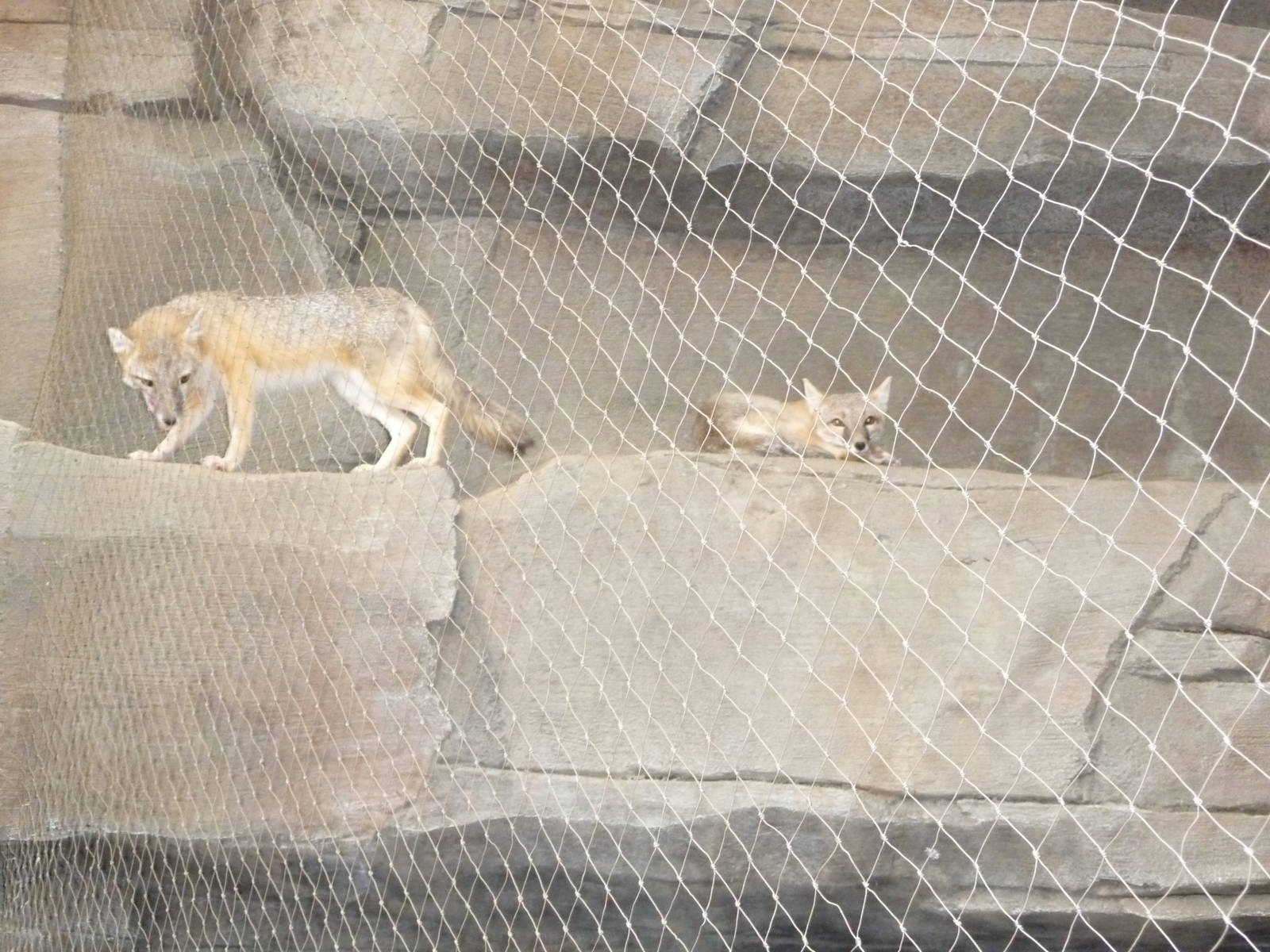 Omaha's Henry Doorly Zoo - Desert Dome