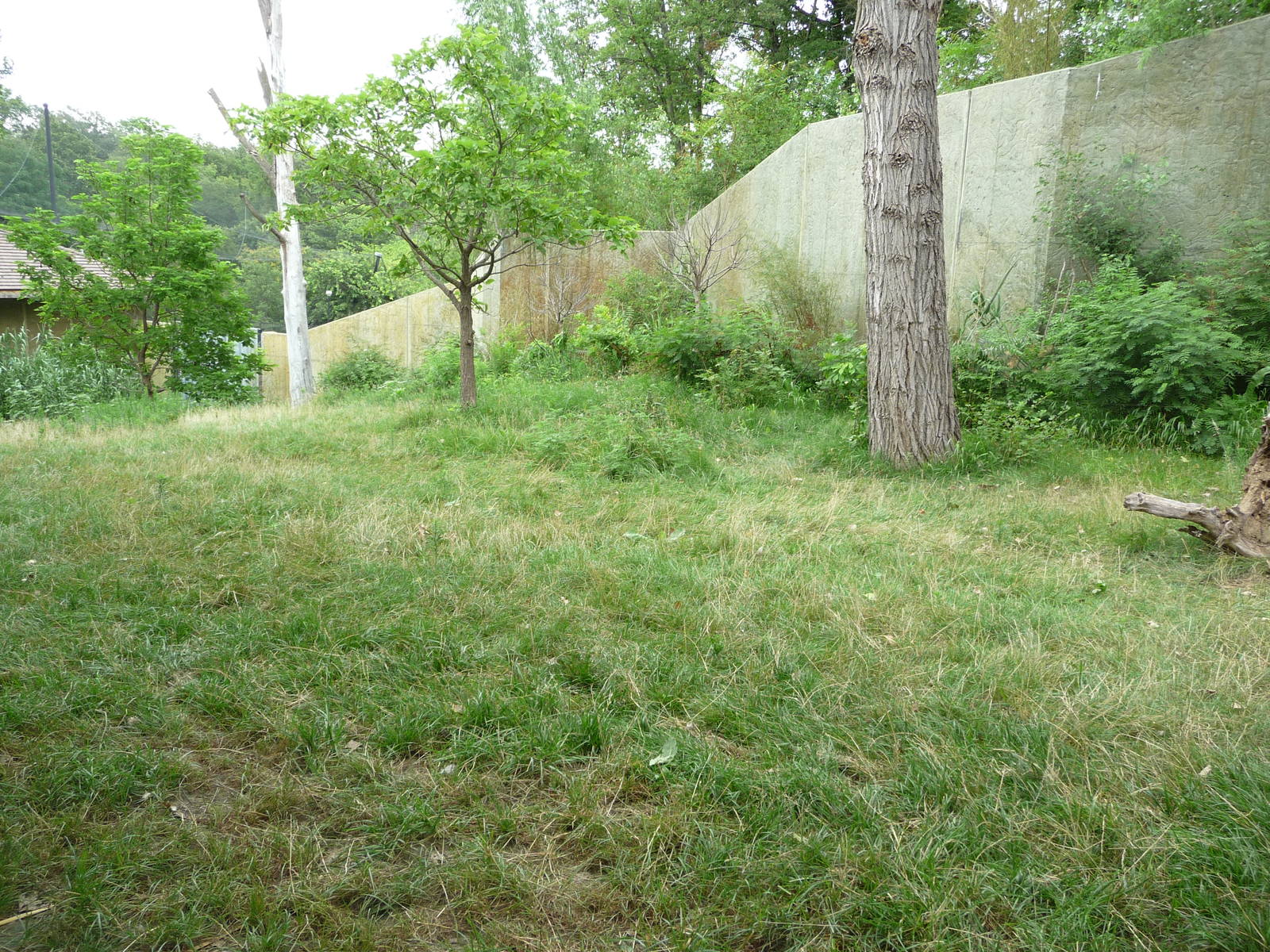 Omaha's Henry Doorly Zoo - Gorilla Exhibit