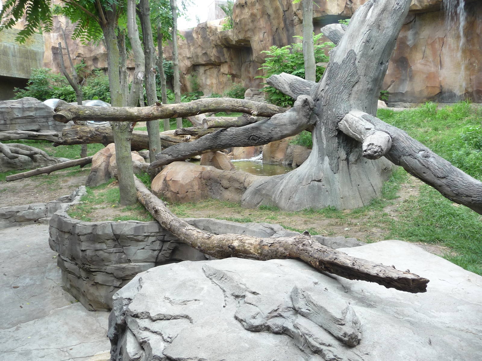 Omaha's Henry Doorly Zoo - Gorilla Exhibit