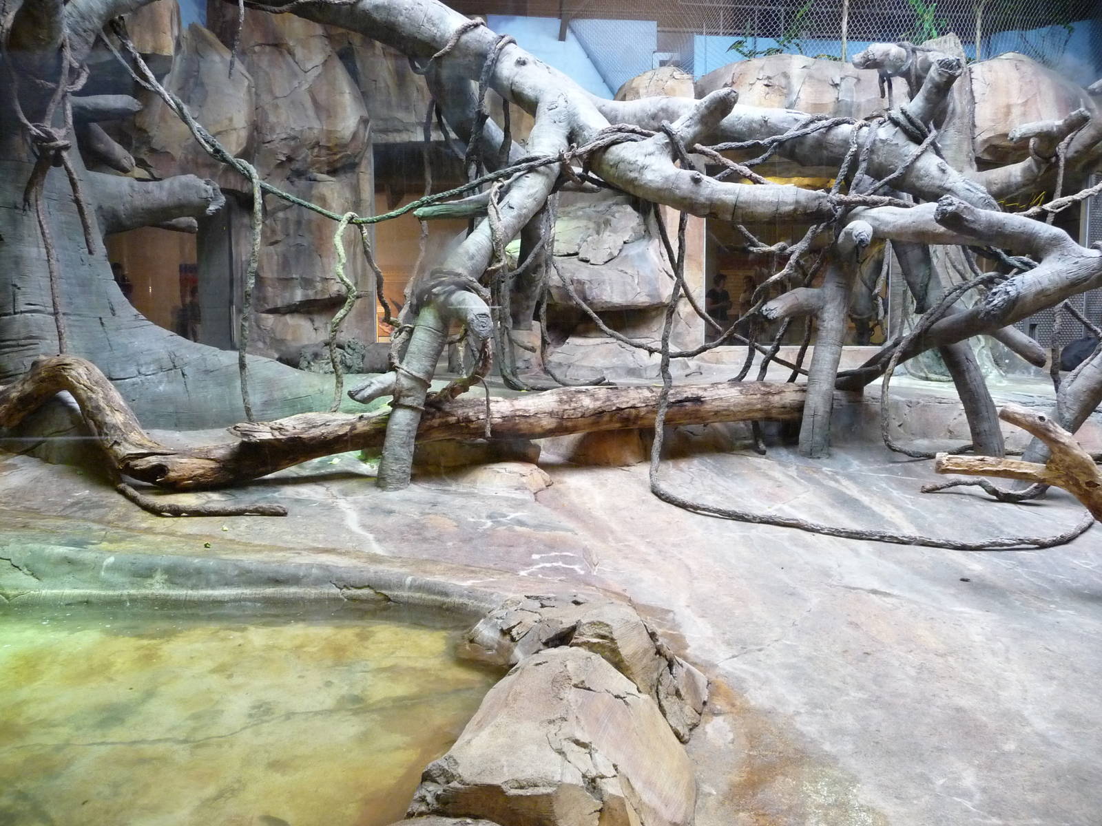 Omaha's Henry Doorly Zoo - Gorilla Indoor Exhibit