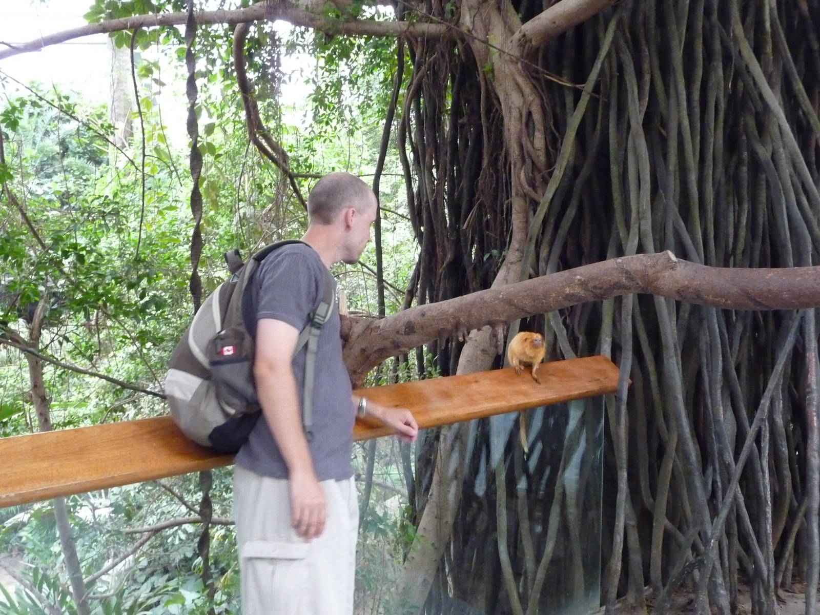 Omaha's Henry Doorly Zoo - Lied Jungle