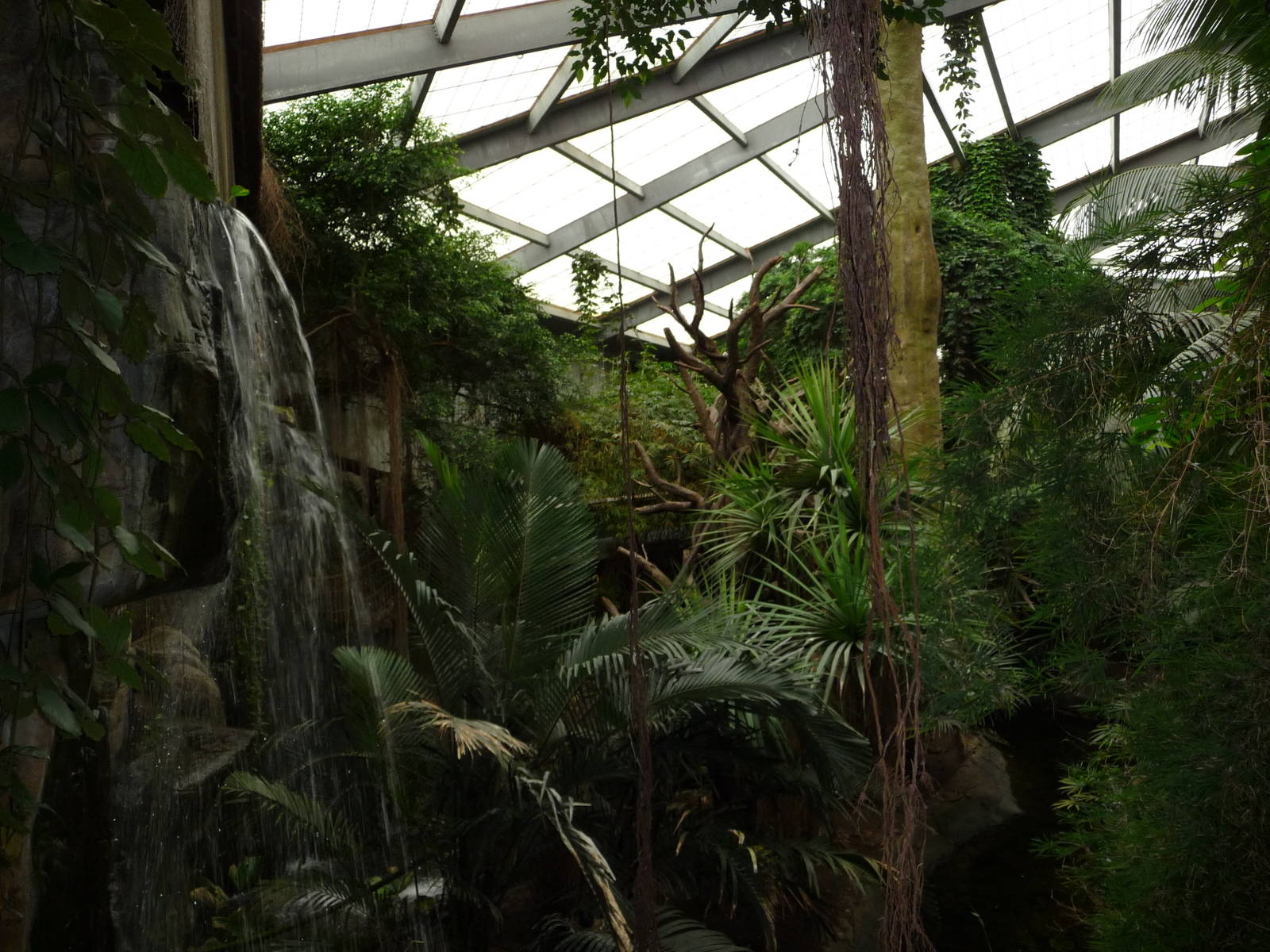 Omaha's Henry Doorly Zoo - Lied Jungle