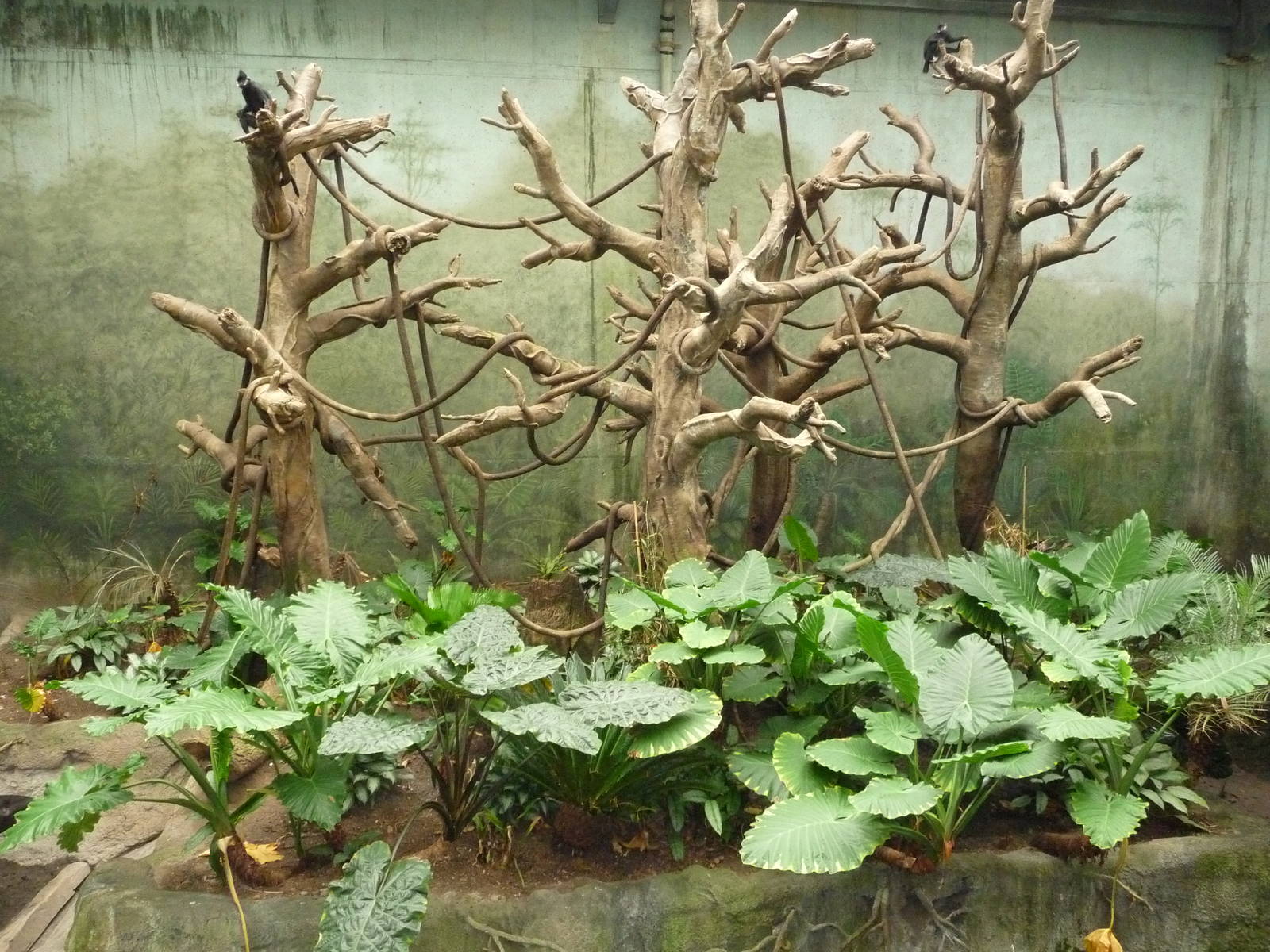 Omaha's Henry Doorly Zoo - Lied Jungle